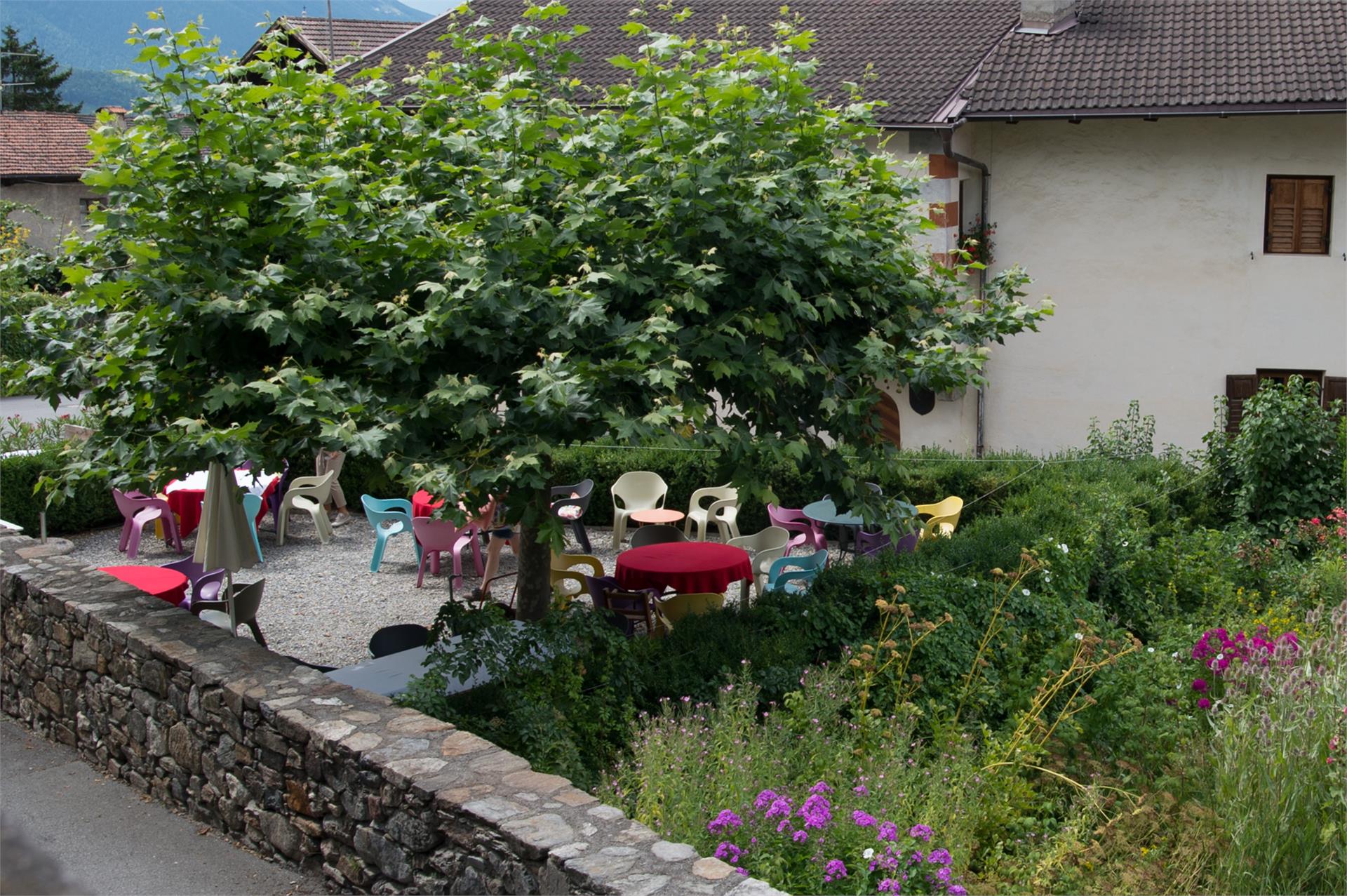 Tarscherwirt Latsch 10 suedtirol.info