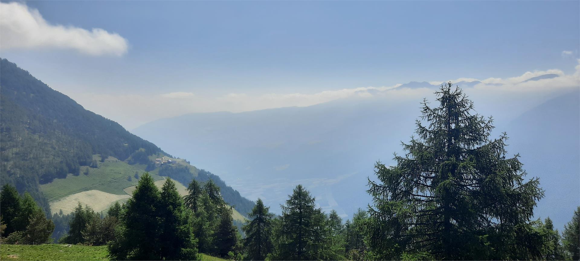 Trumser Alb'l Kastelbell-Tschars 4 suedtirol.info