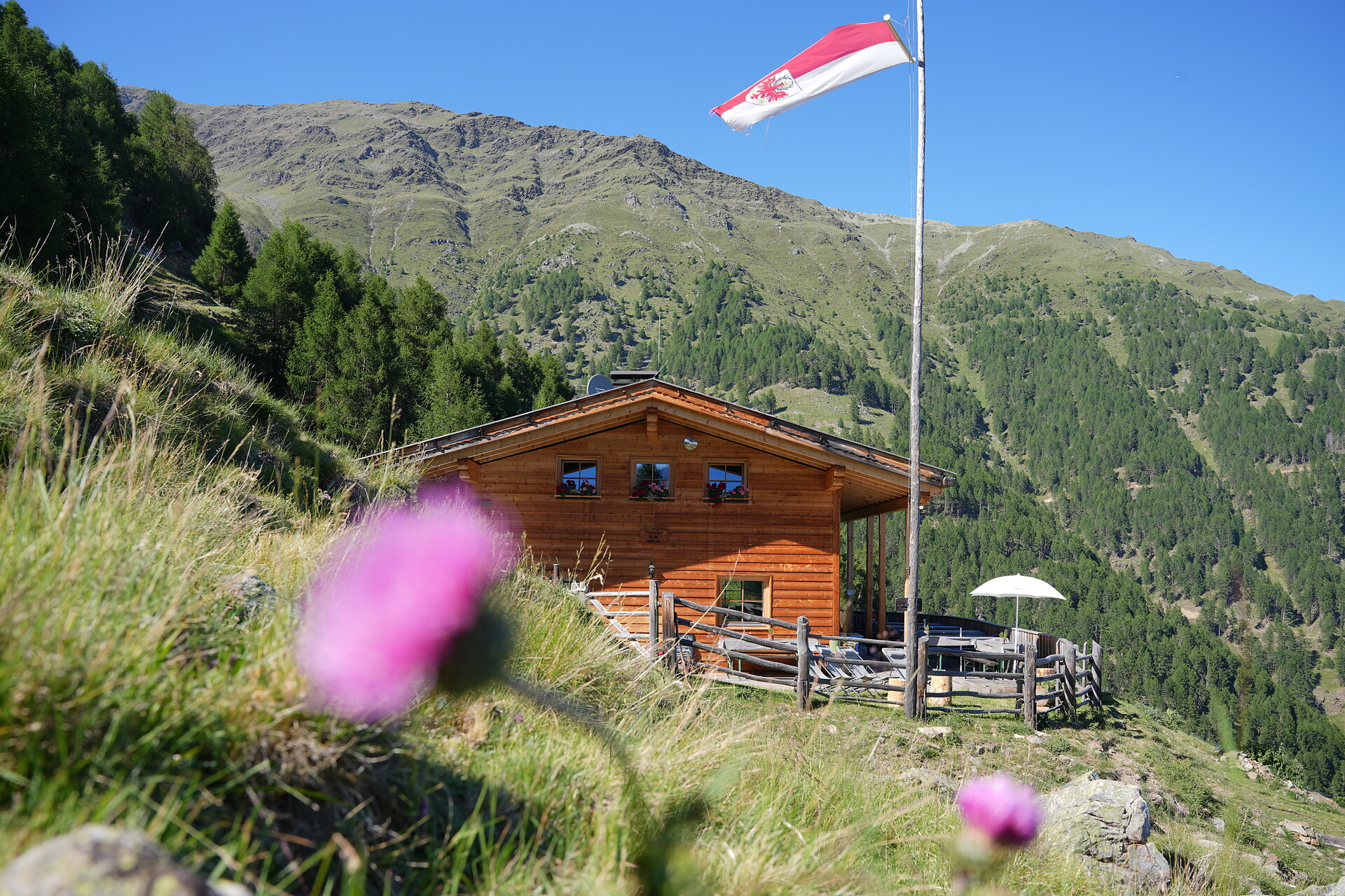 Trumser Alb'l - Vinschgau/Val Venosta - #6 - suedtirol.info