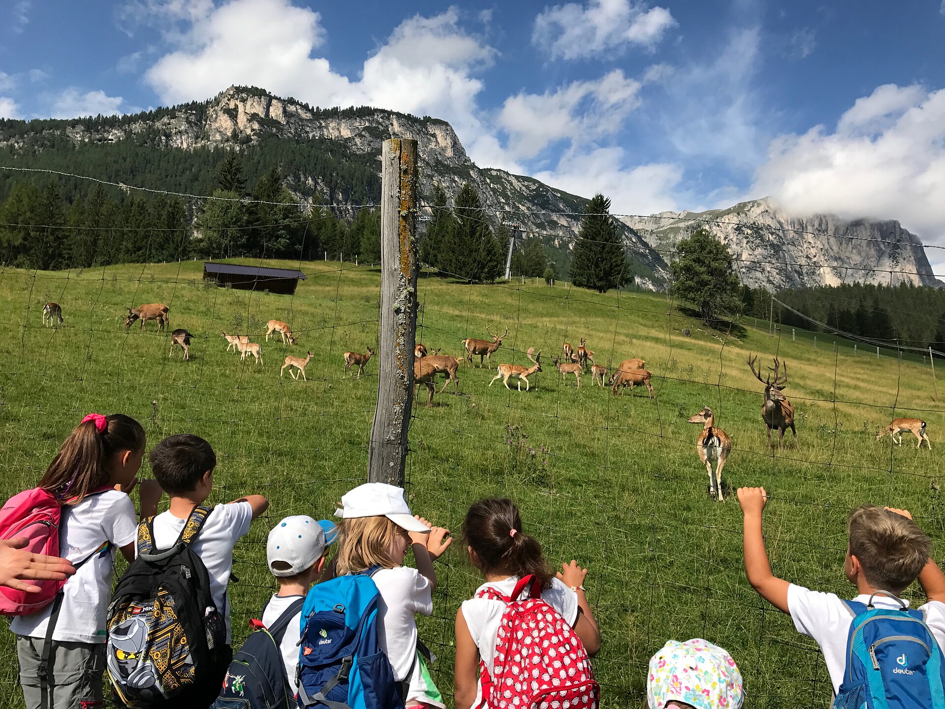 Deer Park