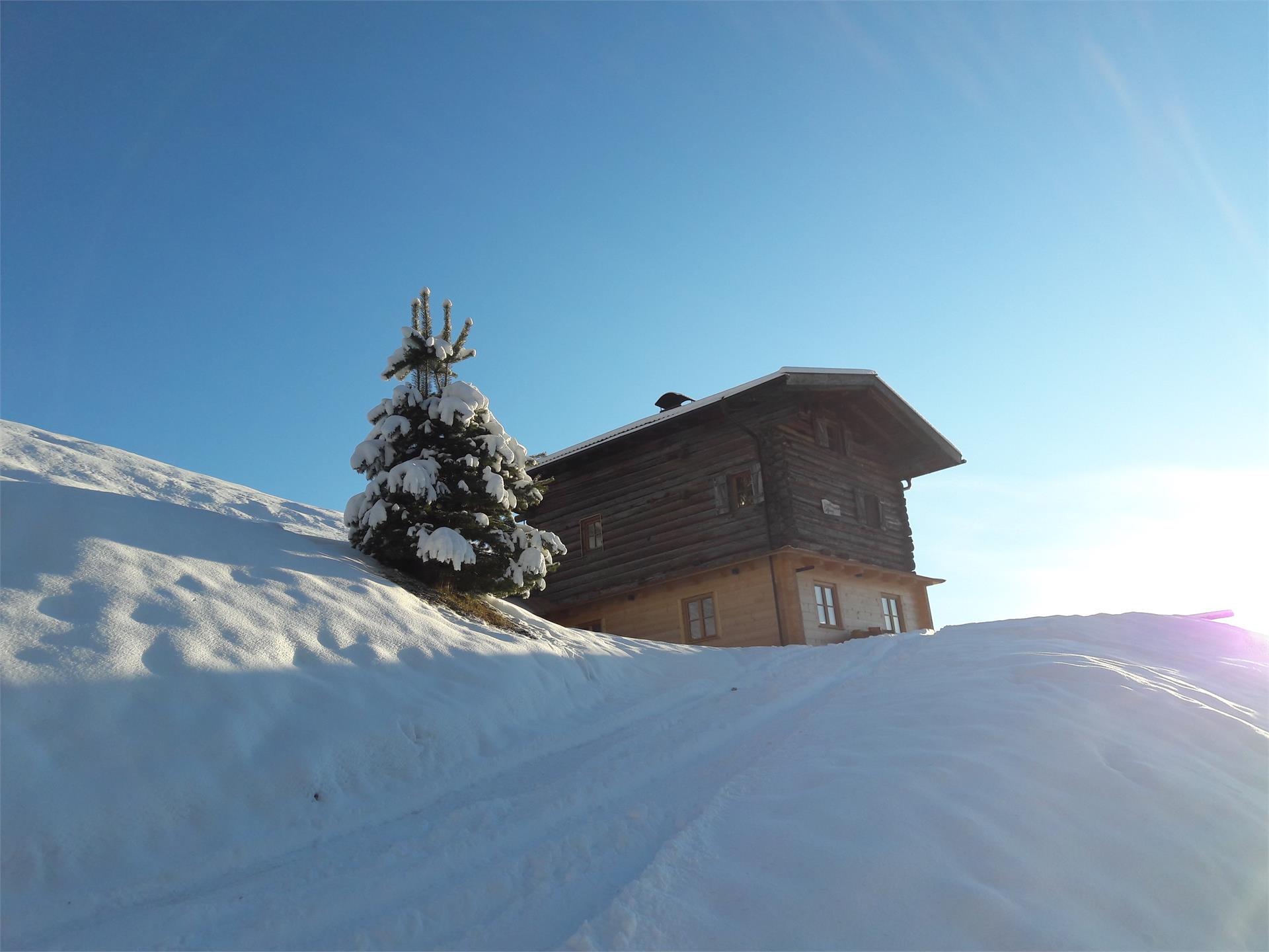 Untertrompedeller Schwaige Tiers am Rosengarten/Tires al Catinaccio 2 suedtirol.info