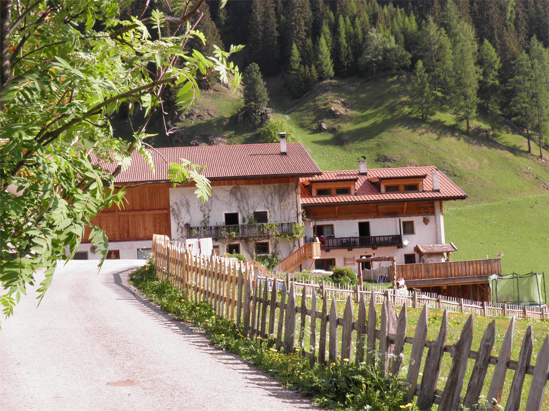 Ungererhof Racines 1 suedtirol.info