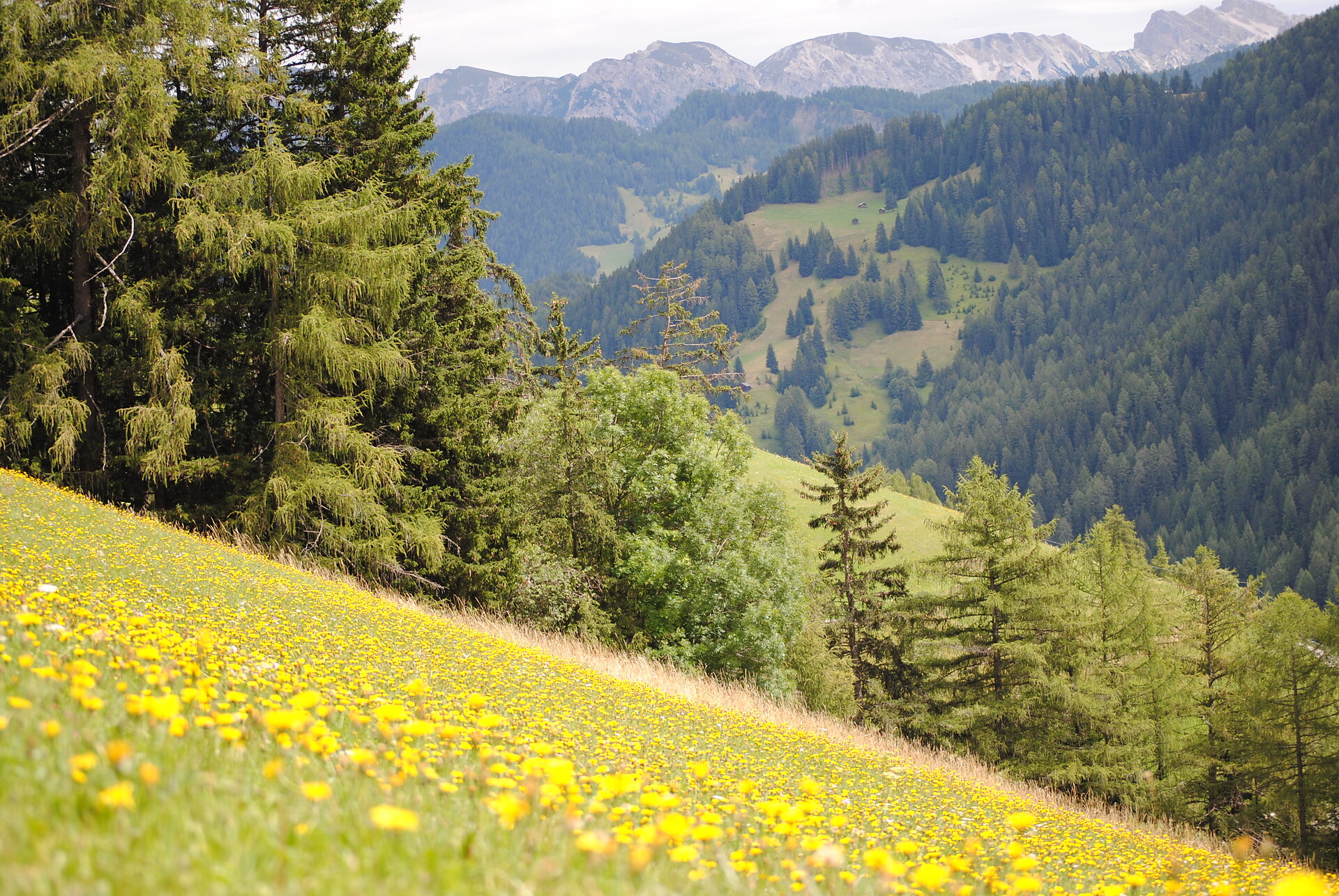 Wandernd...