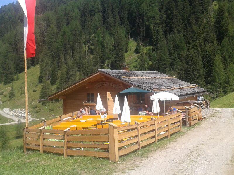 Unterberger Alm-Untoberga Olbe Ahrntal 9 suedtirol.info