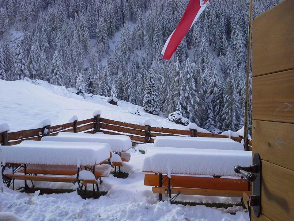 Unterberger Alm-Untoberga Olbe Ahrntal 12 suedtirol.info