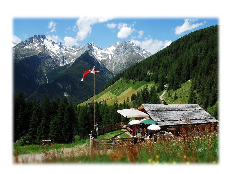 Unterberger Alm-Untoberga Olbe Ahrntal 1 suedtirol.info
