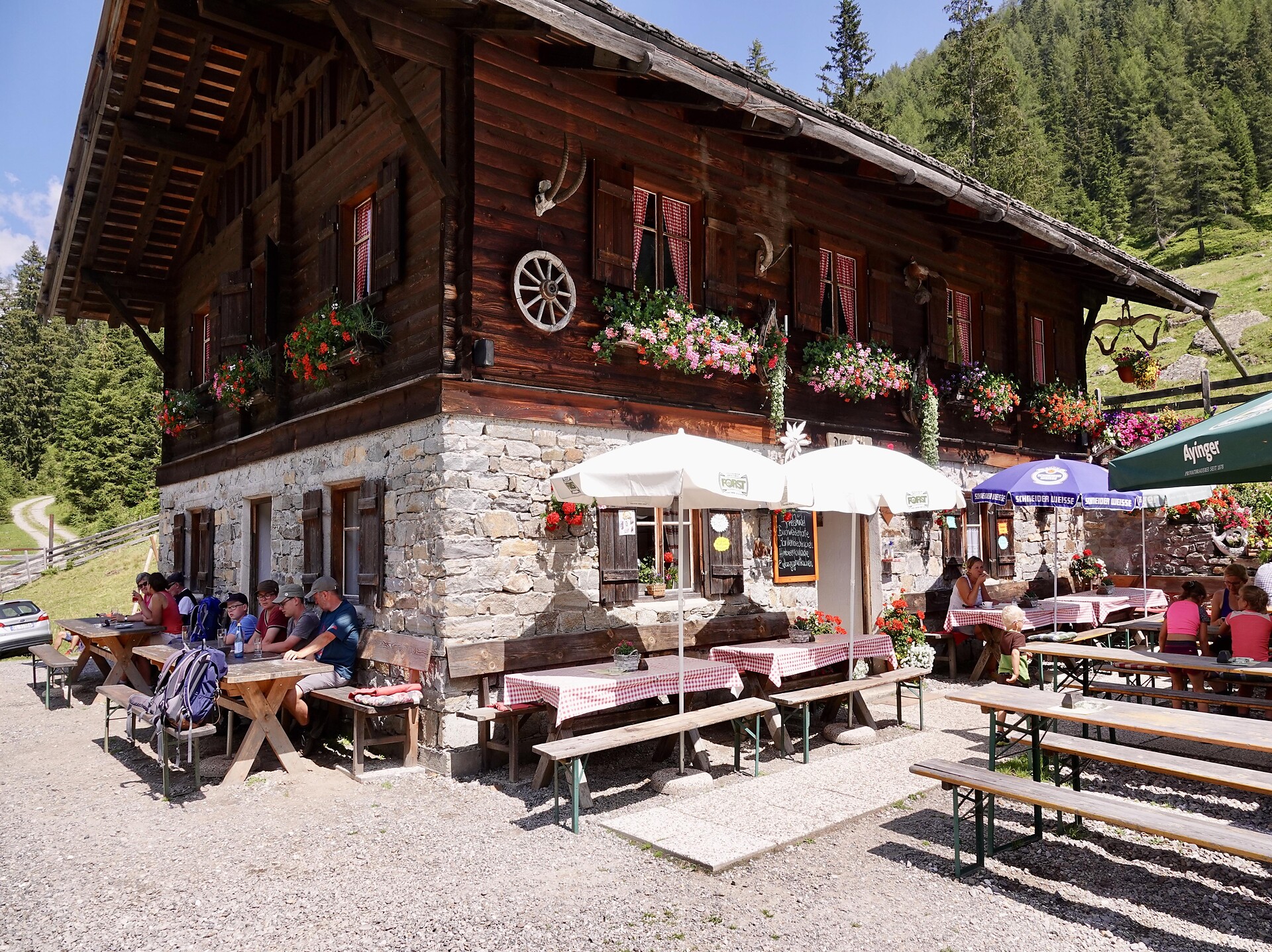 Ulfaseralm Alp