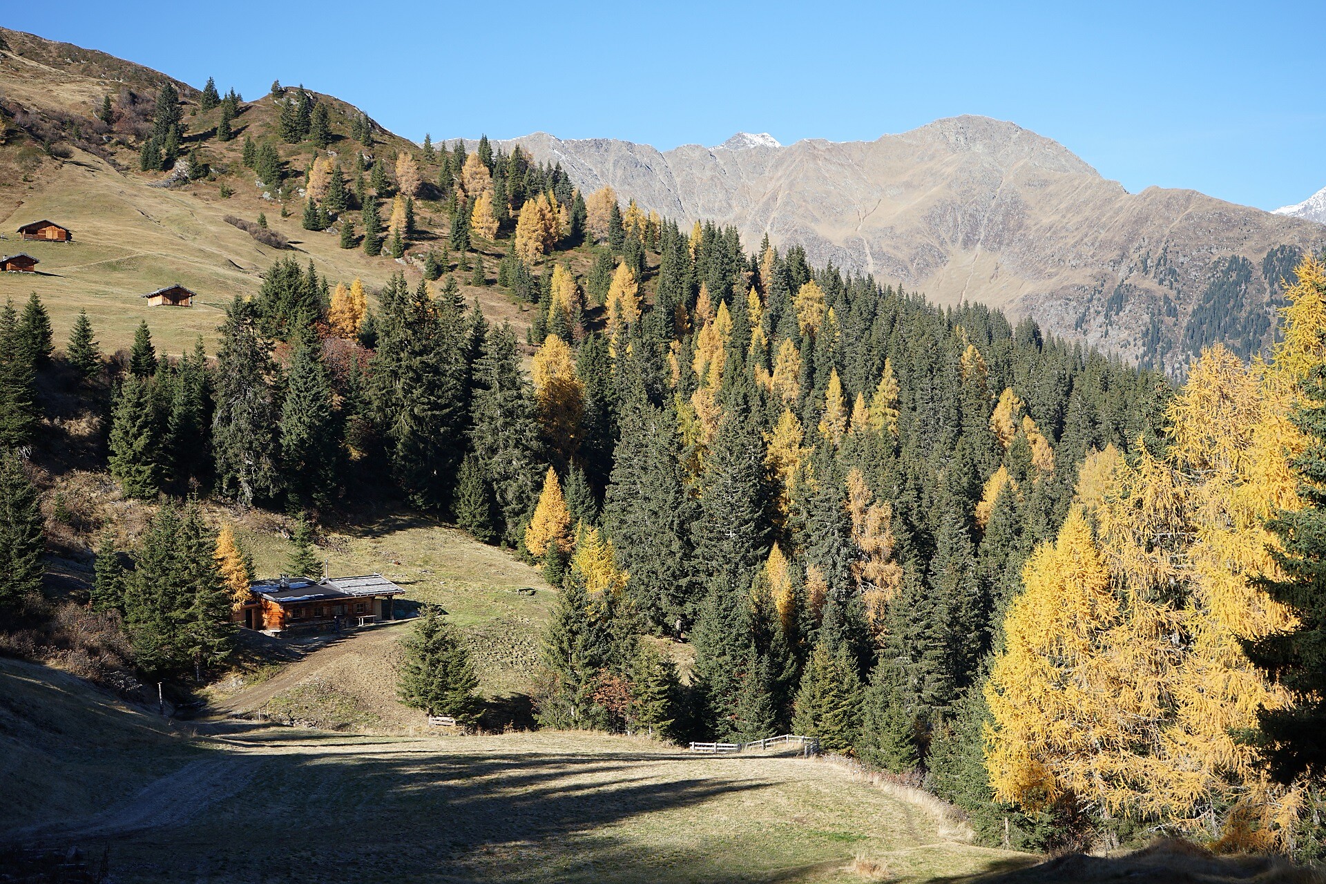 Untere Gewingesalm