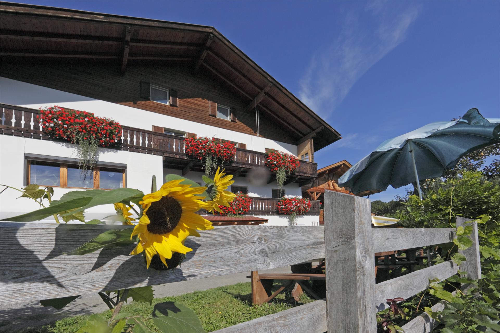 Unteraichnerhof Barbiano 1 suedtirol.info