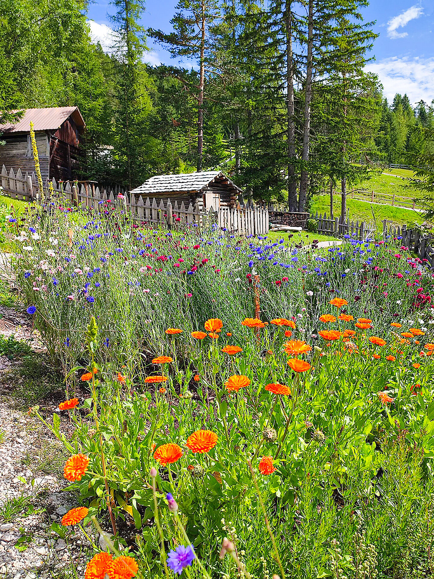 Ütia L'Tamá - Dolomitenregion Alta Badia - #3 - suedtirol.info