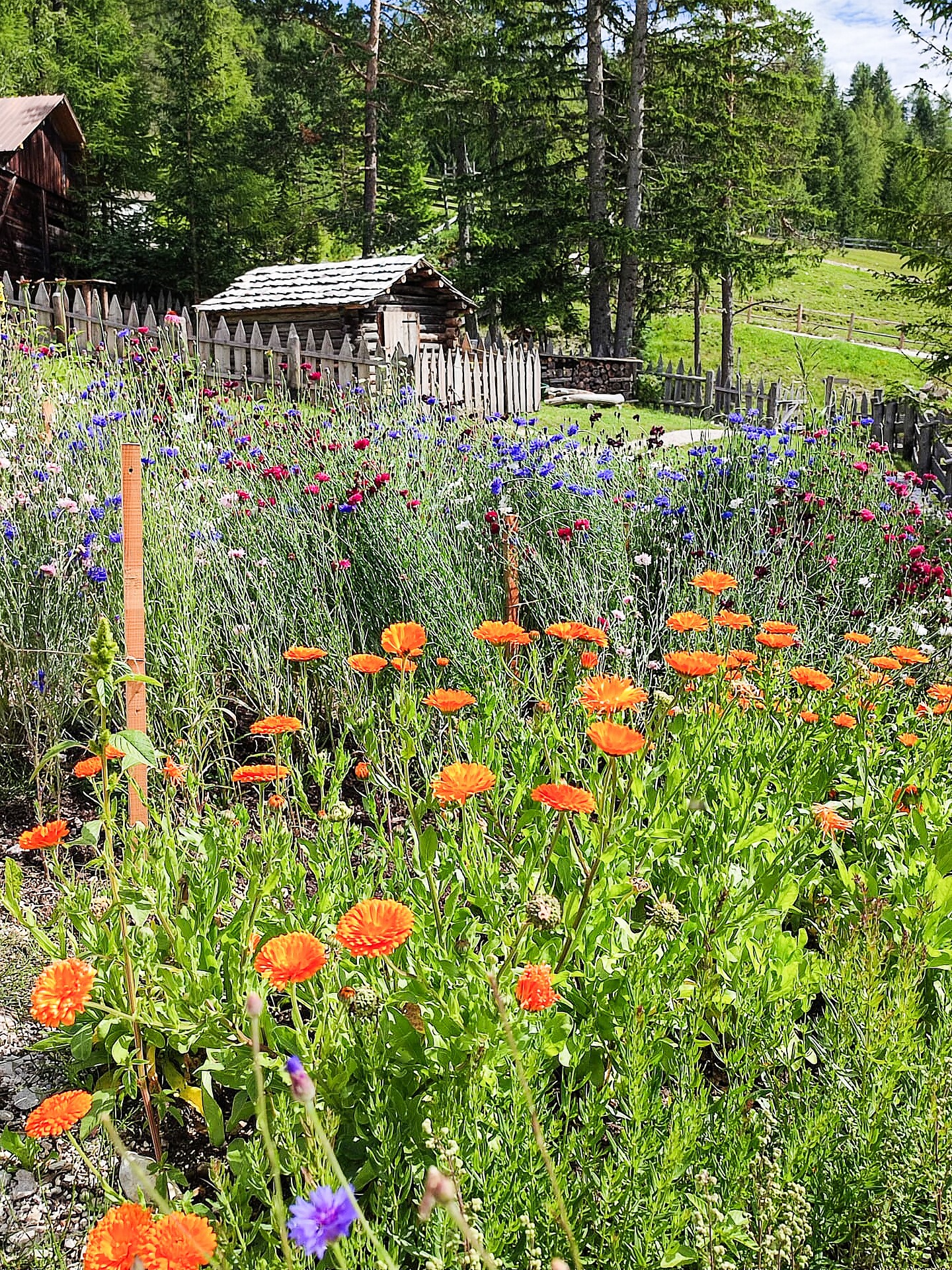 Ütia L'Tamá - Dolomitenregion Alta Badia - #6 - suedtirol.info