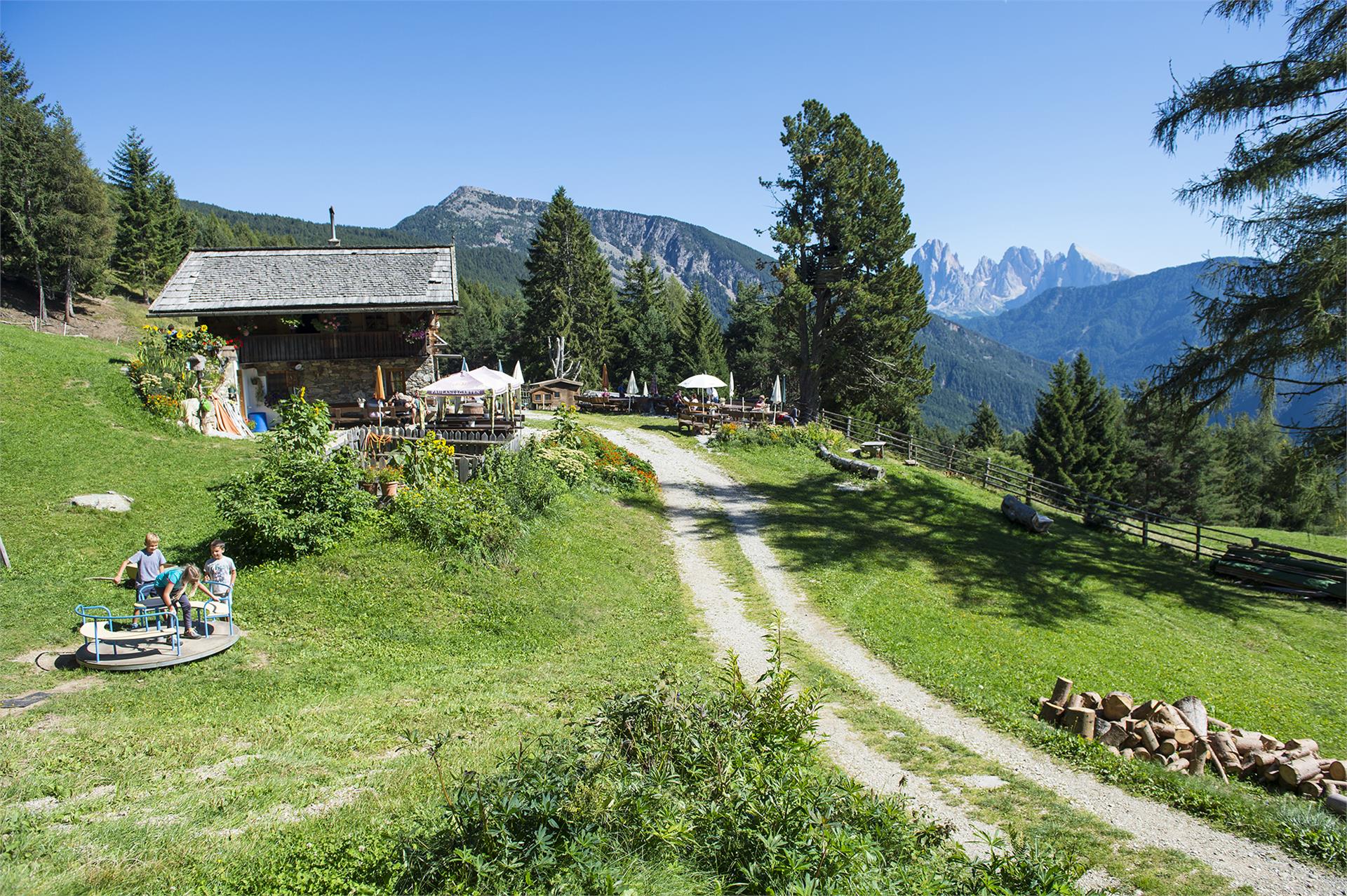 Unterpulghütte Lajen/Laion 1 suedtirol.info