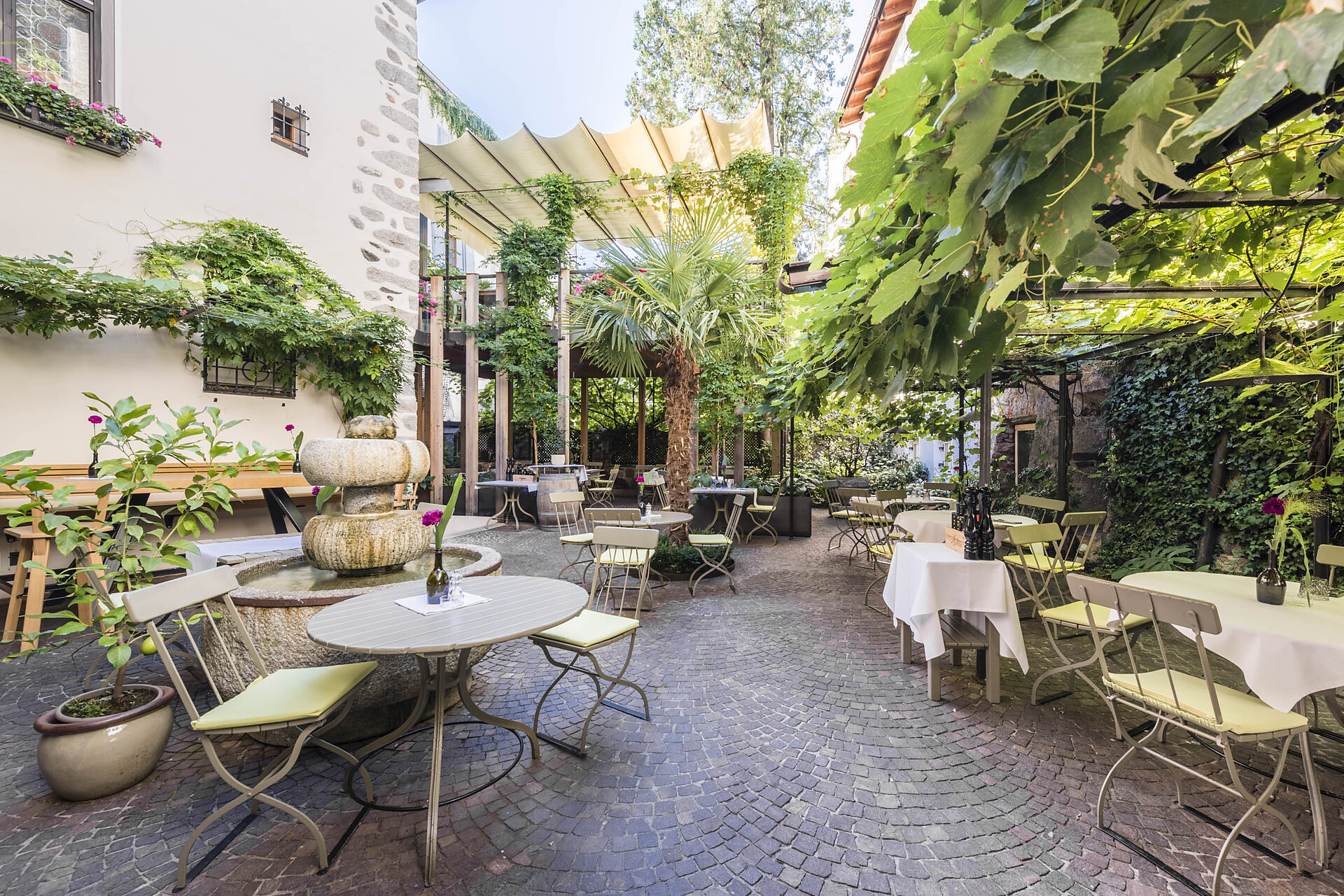 VITIS garden