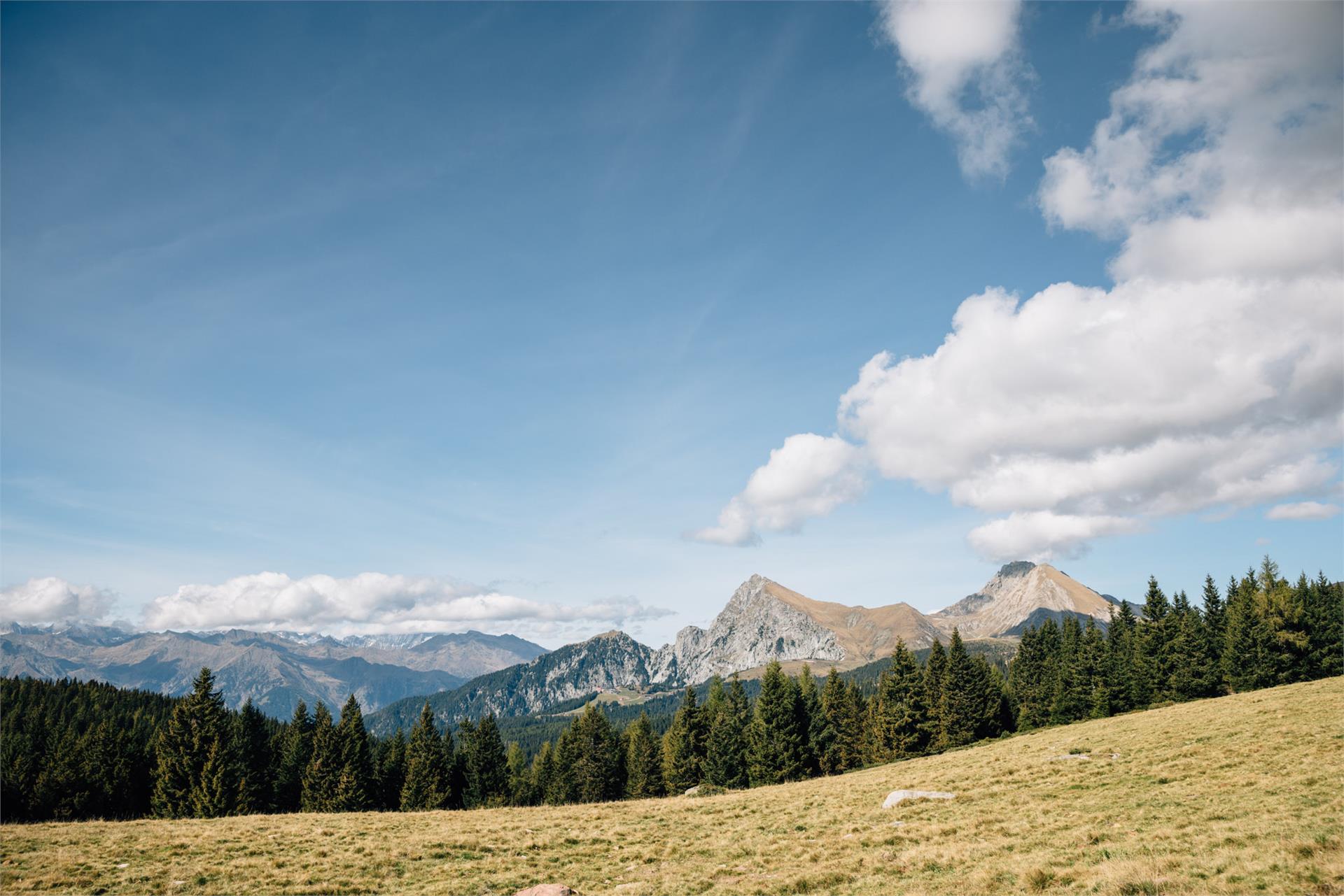 Vöraner Alm Vöran 2 suedtirol.info