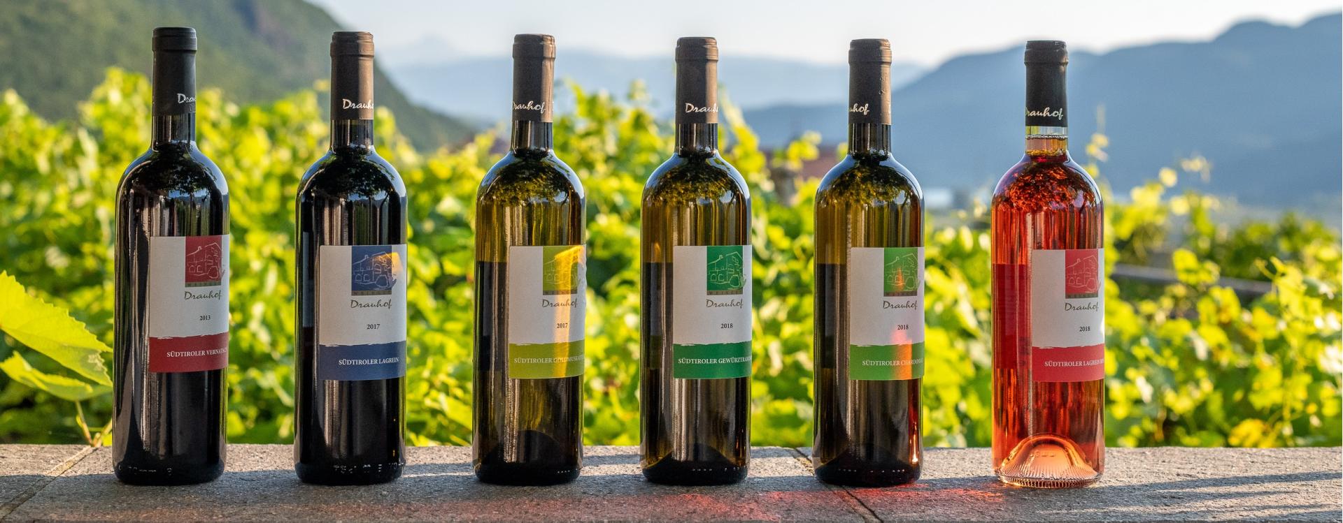 Weingut Drauhof Tramin an der Weinstraße 1 suedtirol.info