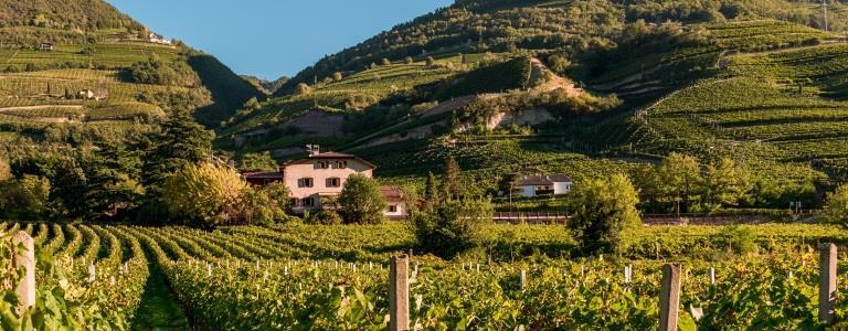 Tenuta Larcherhof Bolzano 1 suedtirol.info