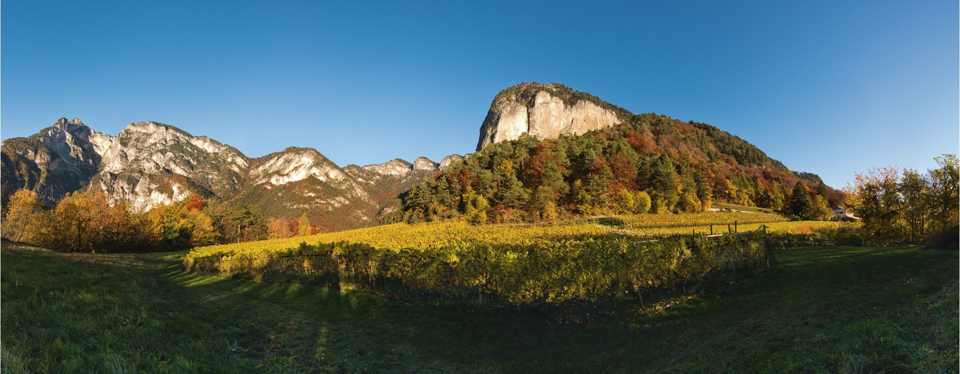 Weingut Tiefenbrunner | Schlosskellerei Turmhof Margreid an der Weinstraße 1 suedtirol.info