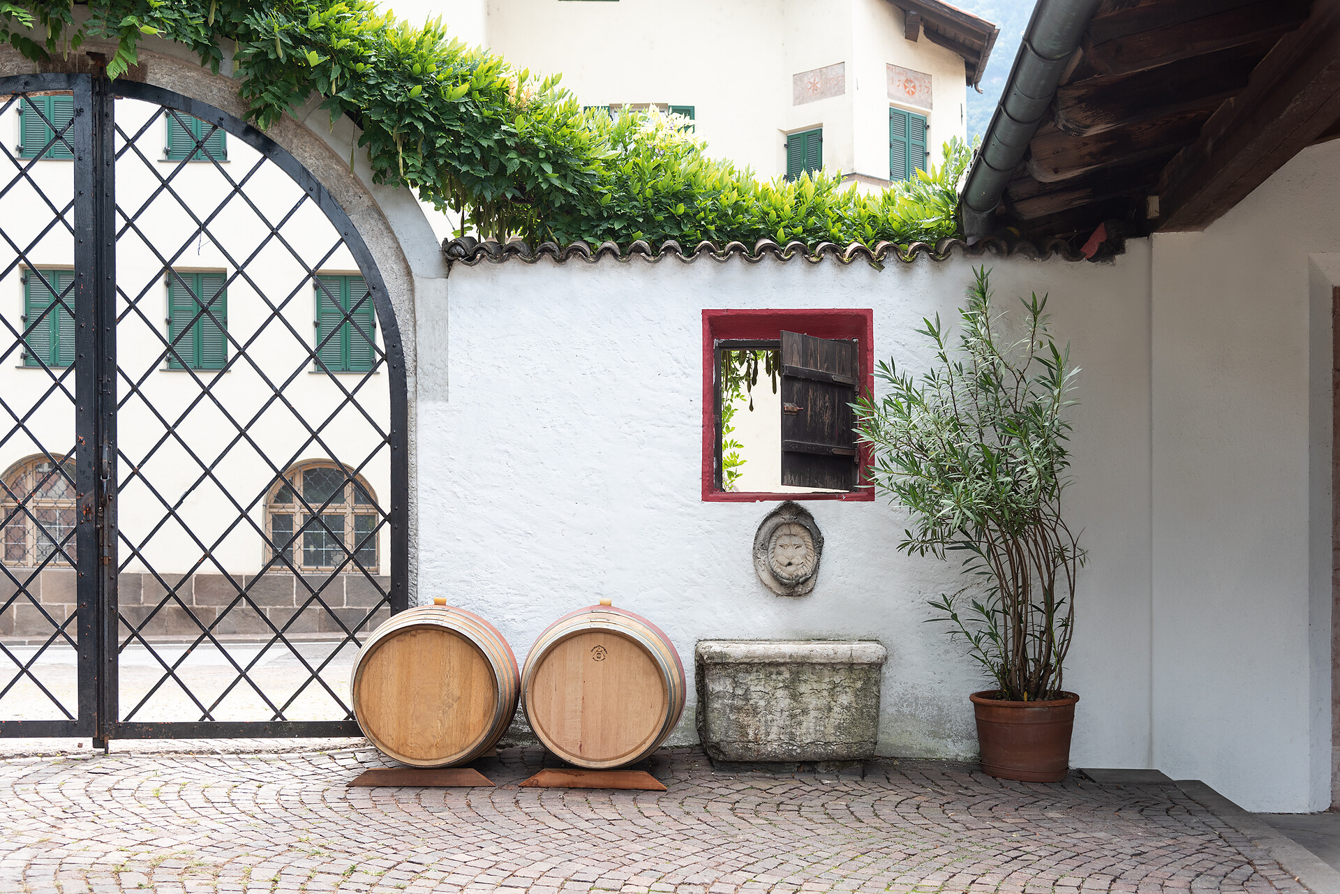 Tenuta H. Lentsch