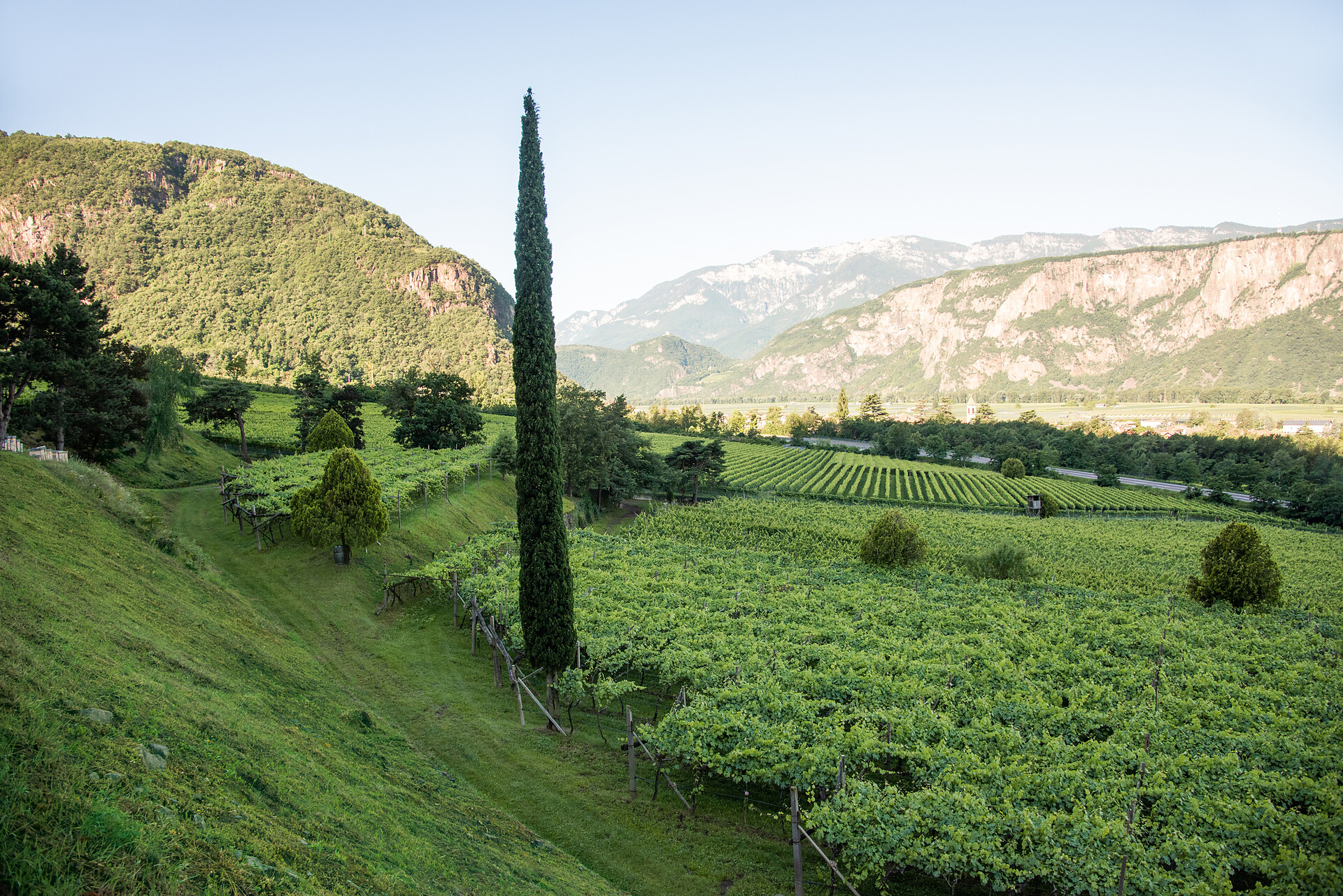Tenuta H. Lentsch