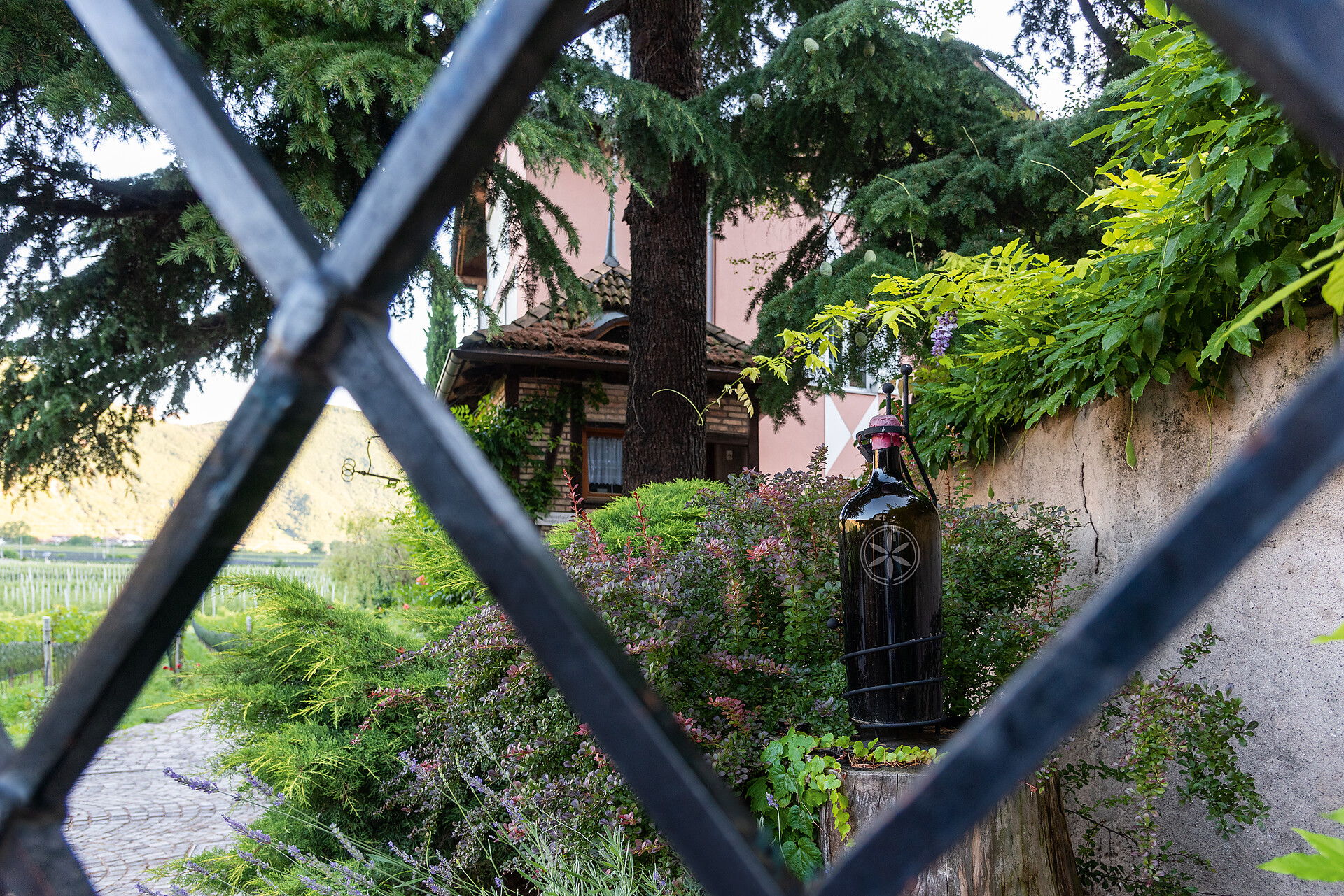 Tenuta H. Lentsch