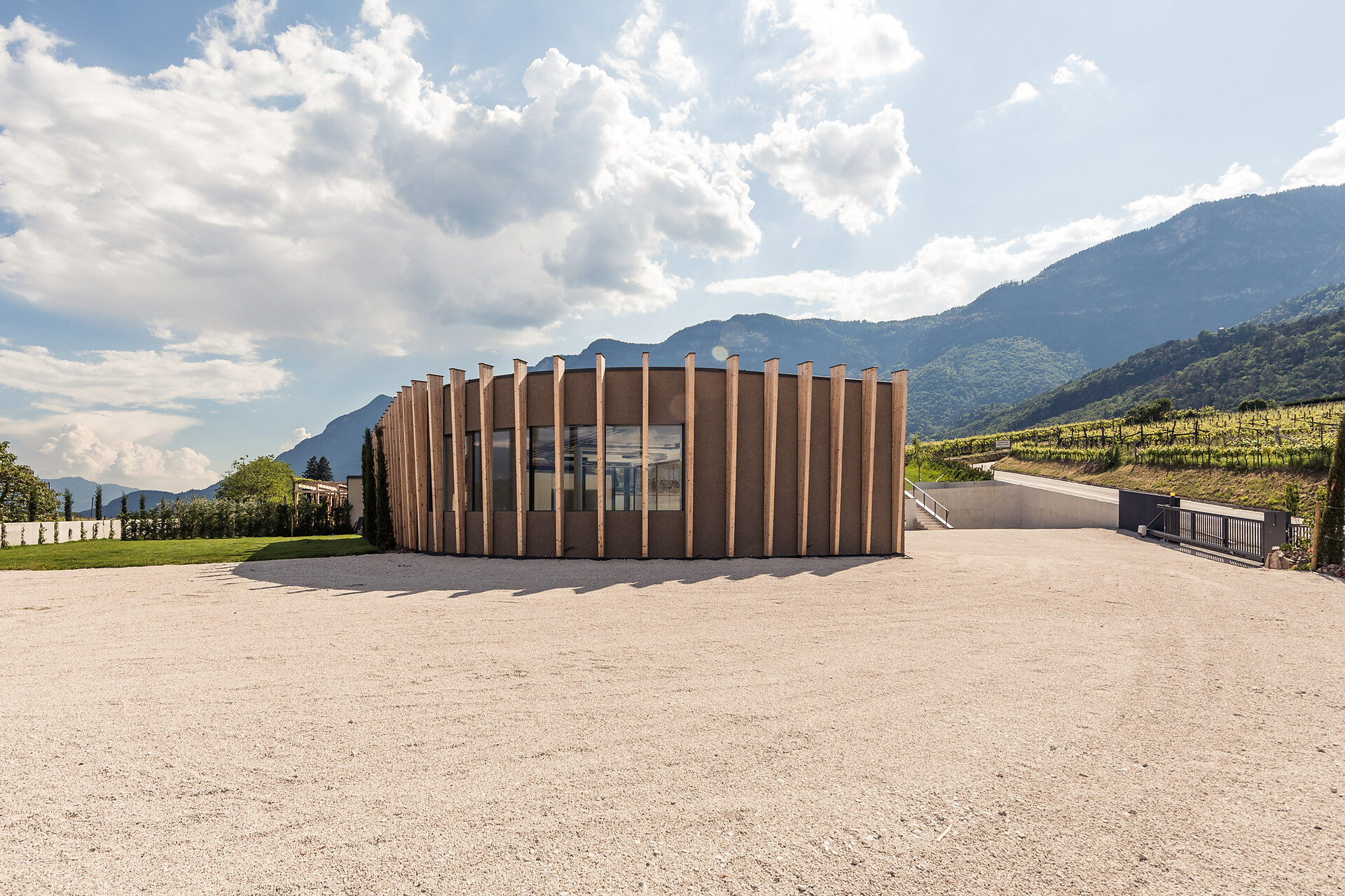 Weingut Moser - Strada del Vino - #1 - suedtirol.info