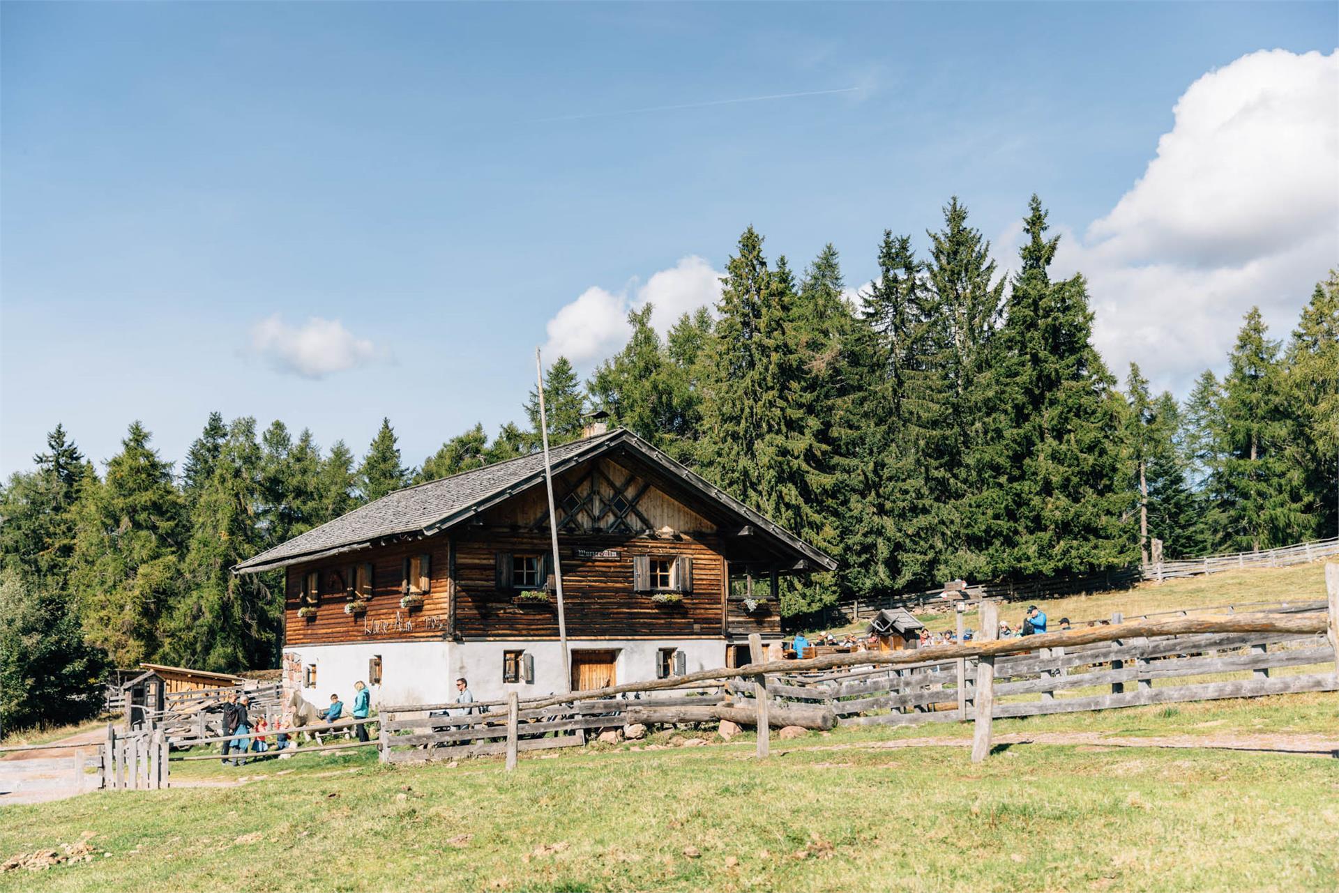 Malga Wurzer Alm Avelengo 2 suedtirol.info