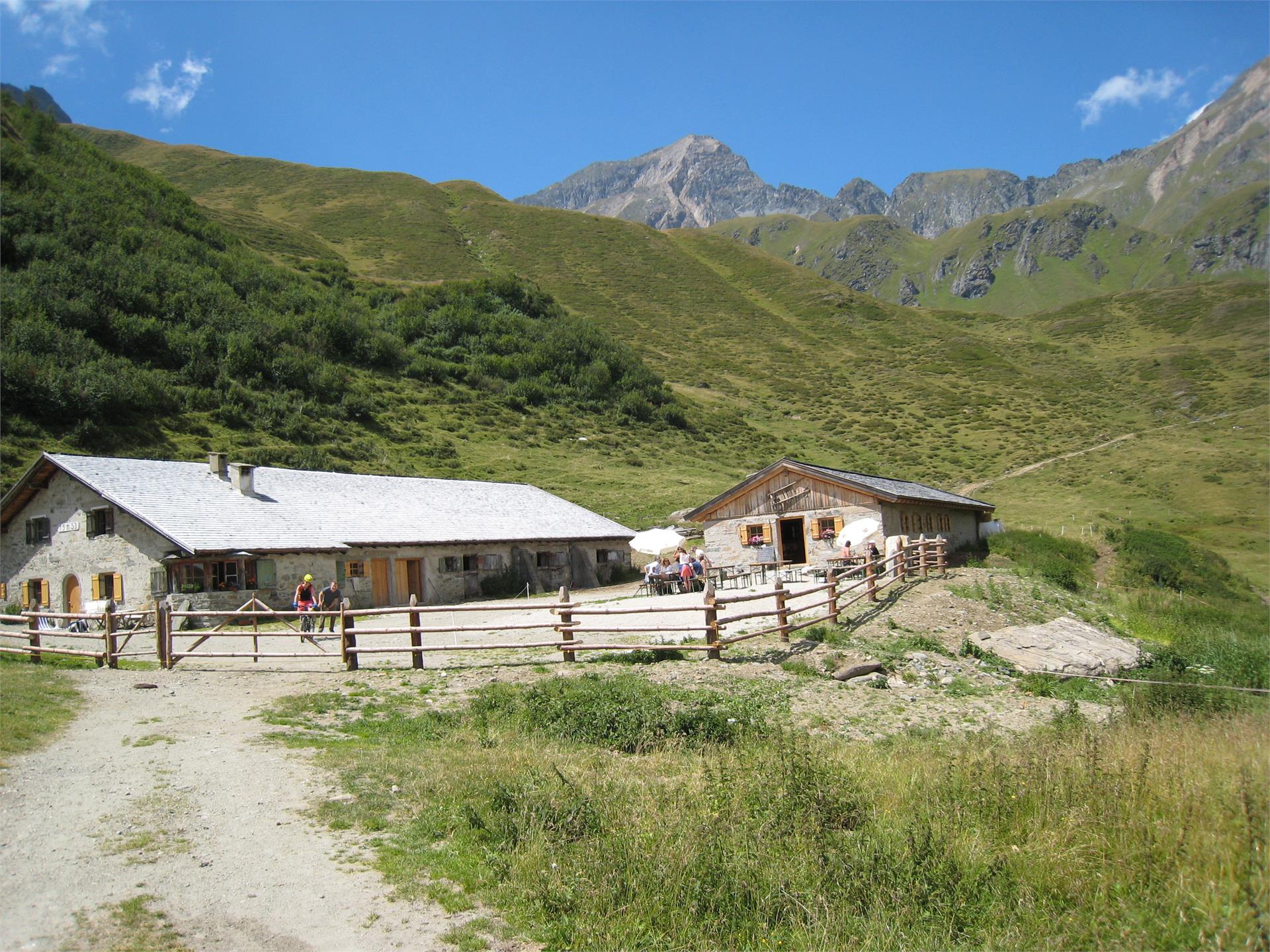 Weitenbergalm Vintl 2 suedtirol.info