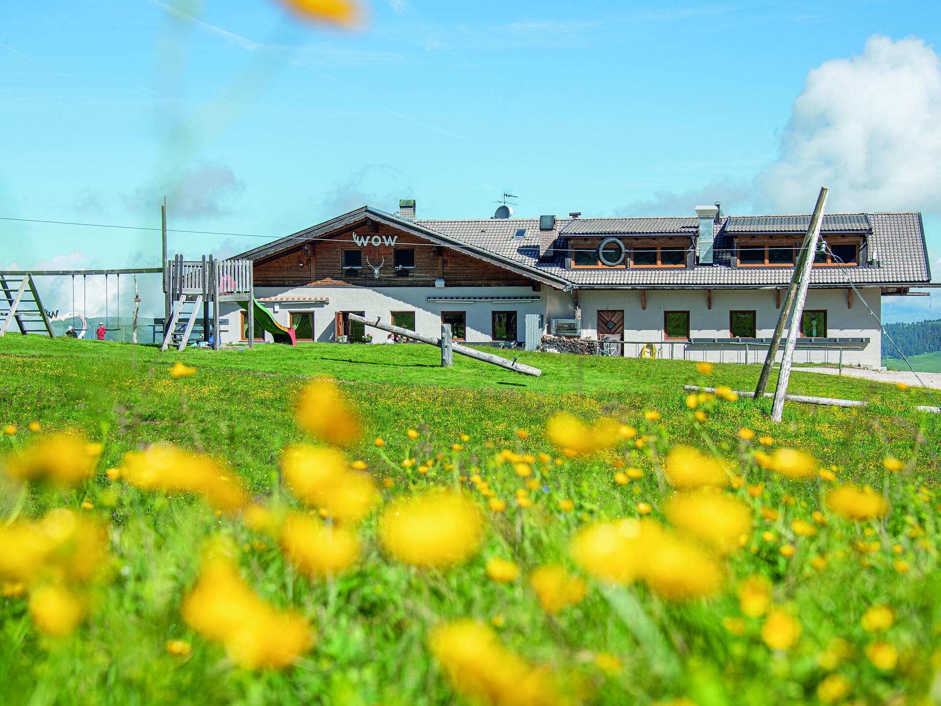 Wild O'Williams - Dolomitenregion Seiser Alm - #1 - suedtirol.info