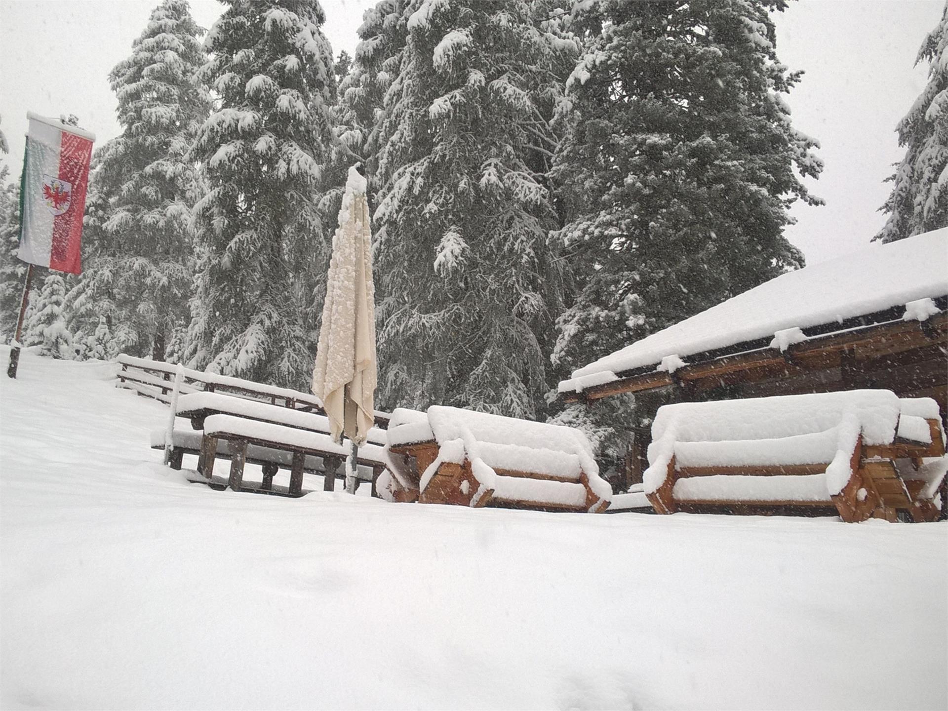 Rifugio Munt da Rina San Vigilio 1 suedtirol.info