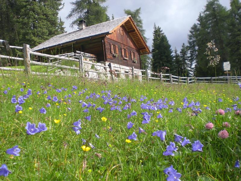 Rifugio Munt da Rina San Vigilio 2 suedtirol.info