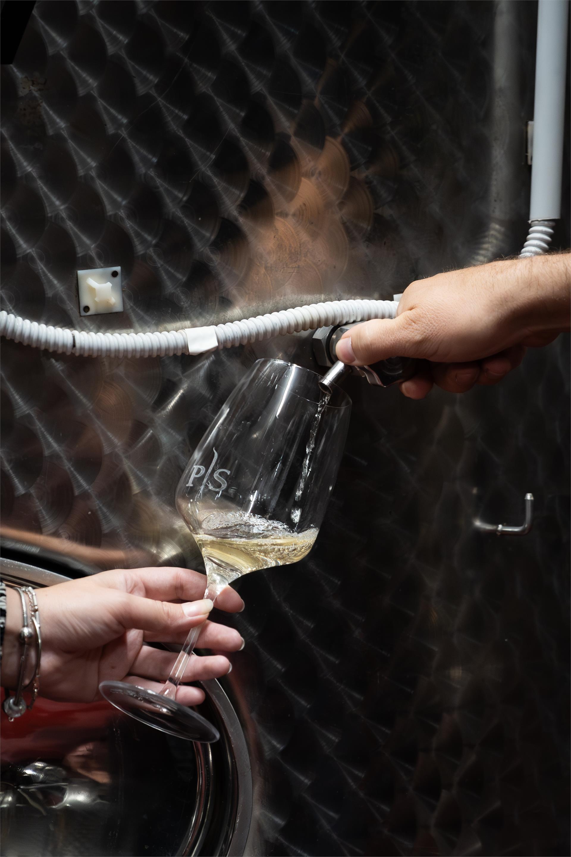 Winery Peter Sölva Kaltern an der Weinstraße/Caldaro sulla Strada del Vino 3 suedtirol.info