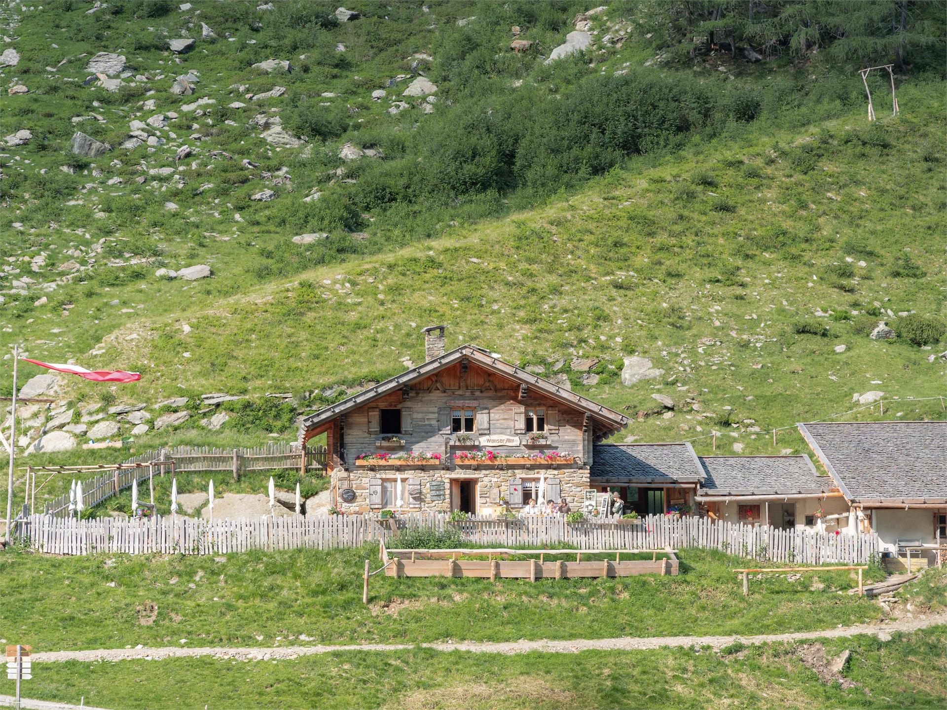 Wanseralm Alp St.Leonhard in Passeier/San Leonardo in Passiria 1 suedtirol.info