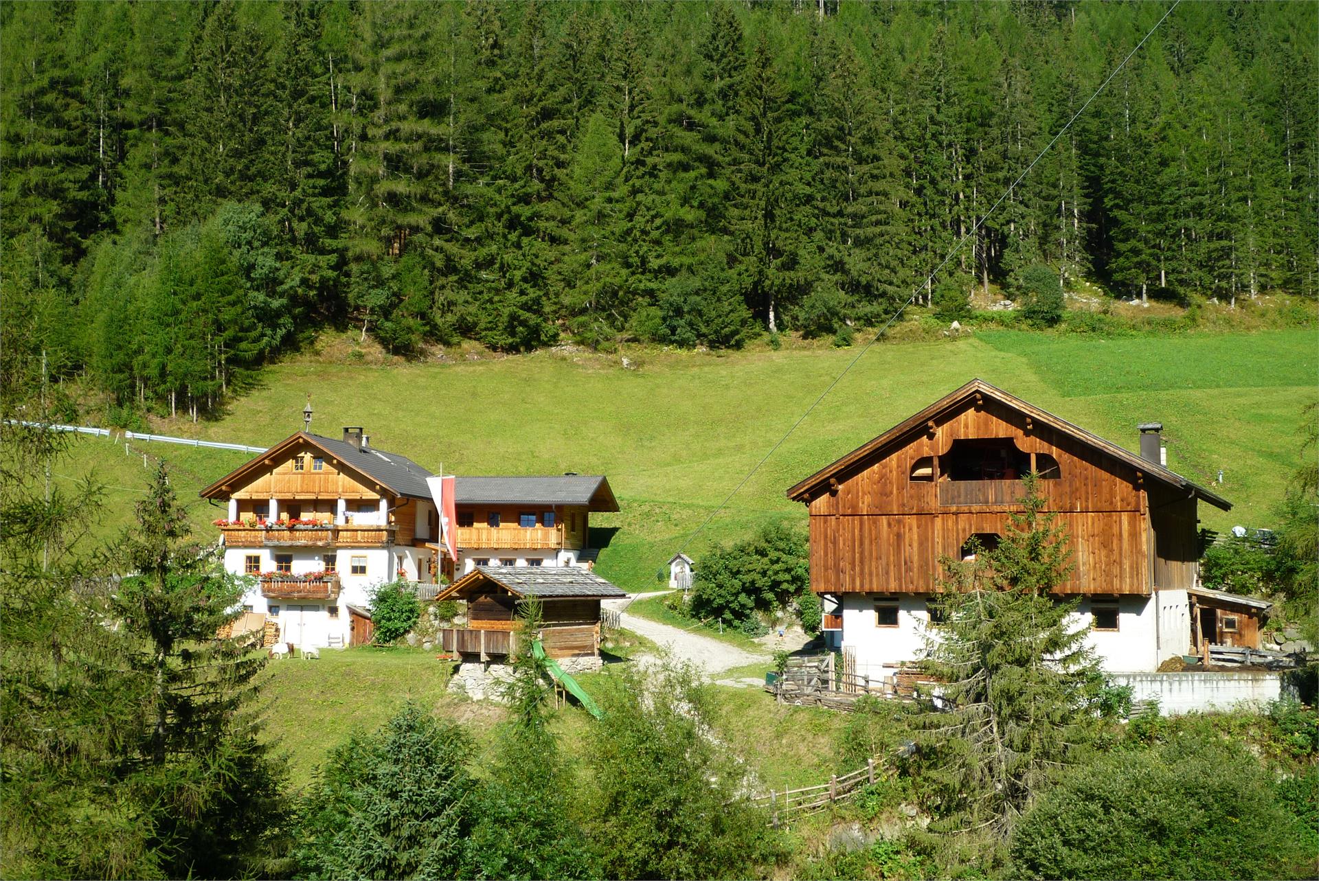 Waldlechn osteria contadina Valle Aurina 14 suedtirol.info