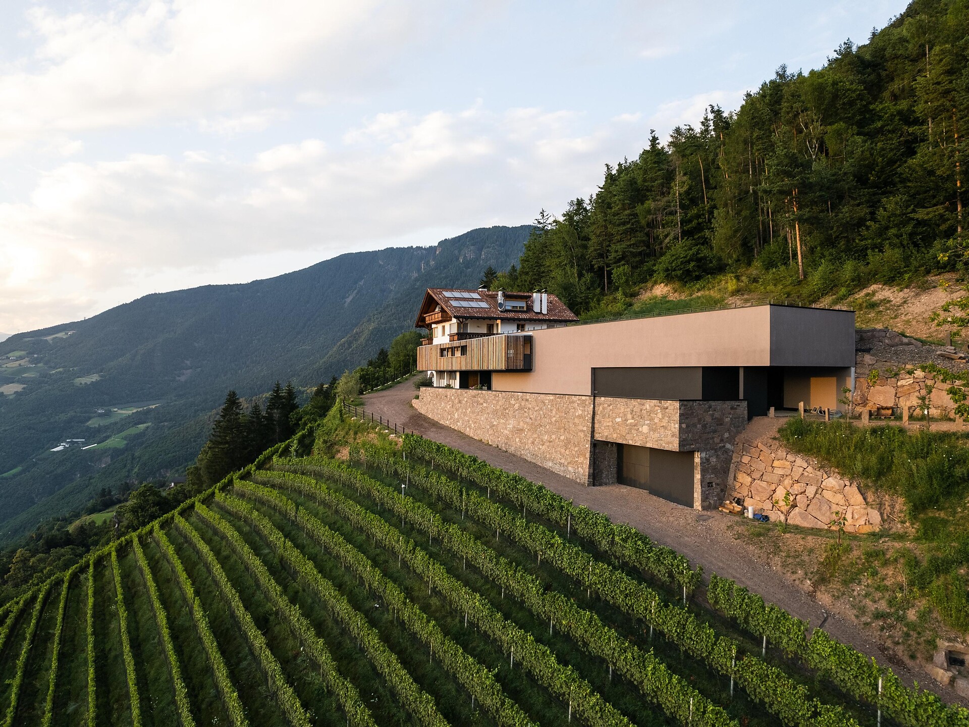 Weingut Hochegg