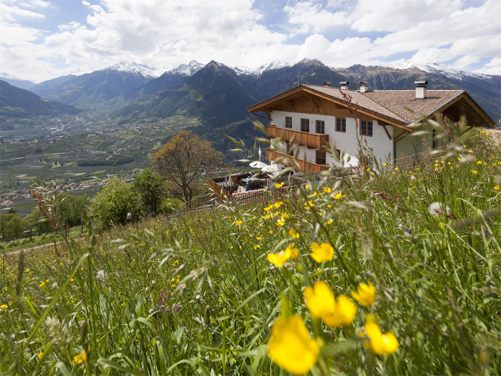 Zmailerhof - Hofschank Schenna 1 suedtirol.info