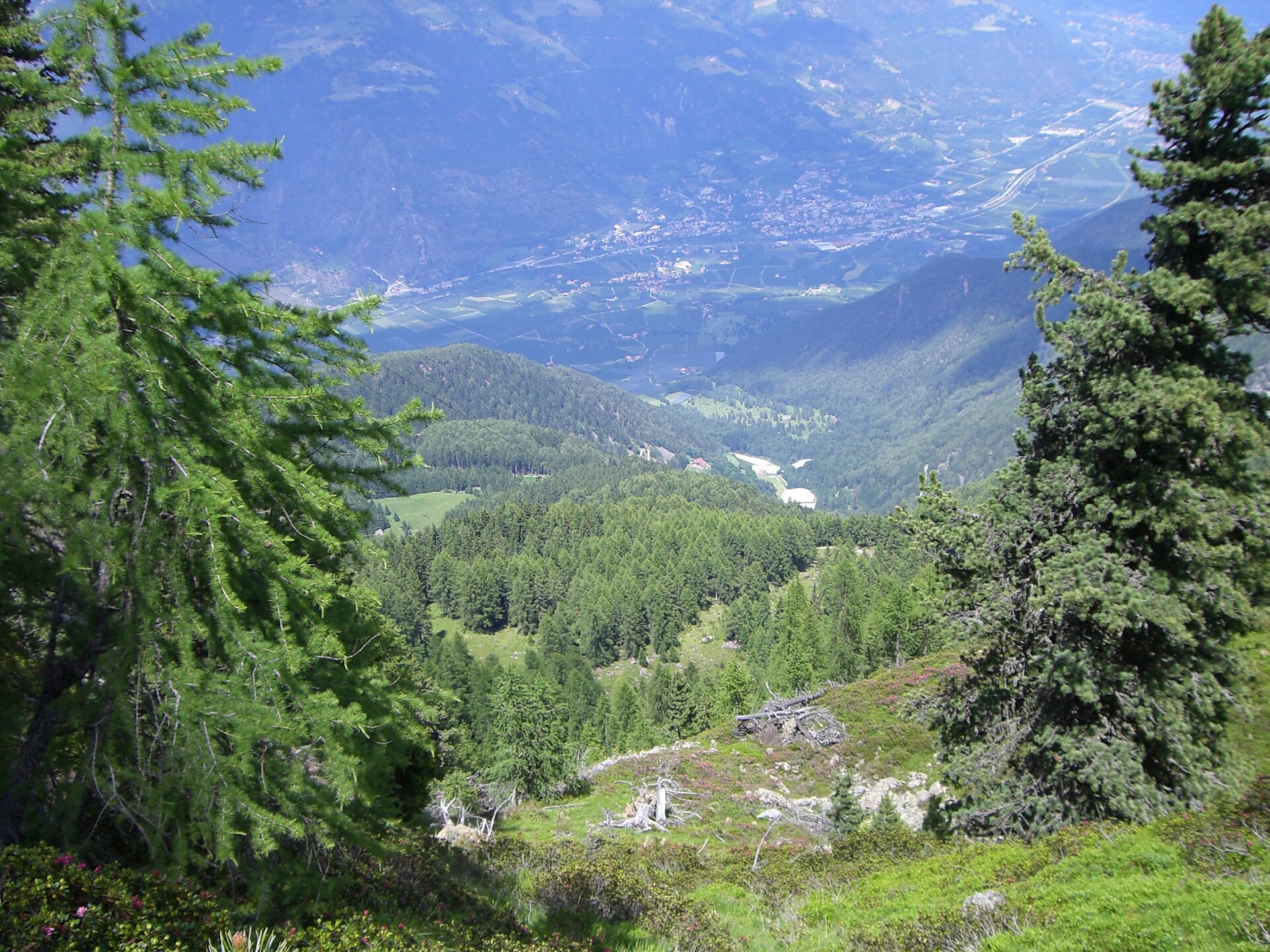 Zirmtal