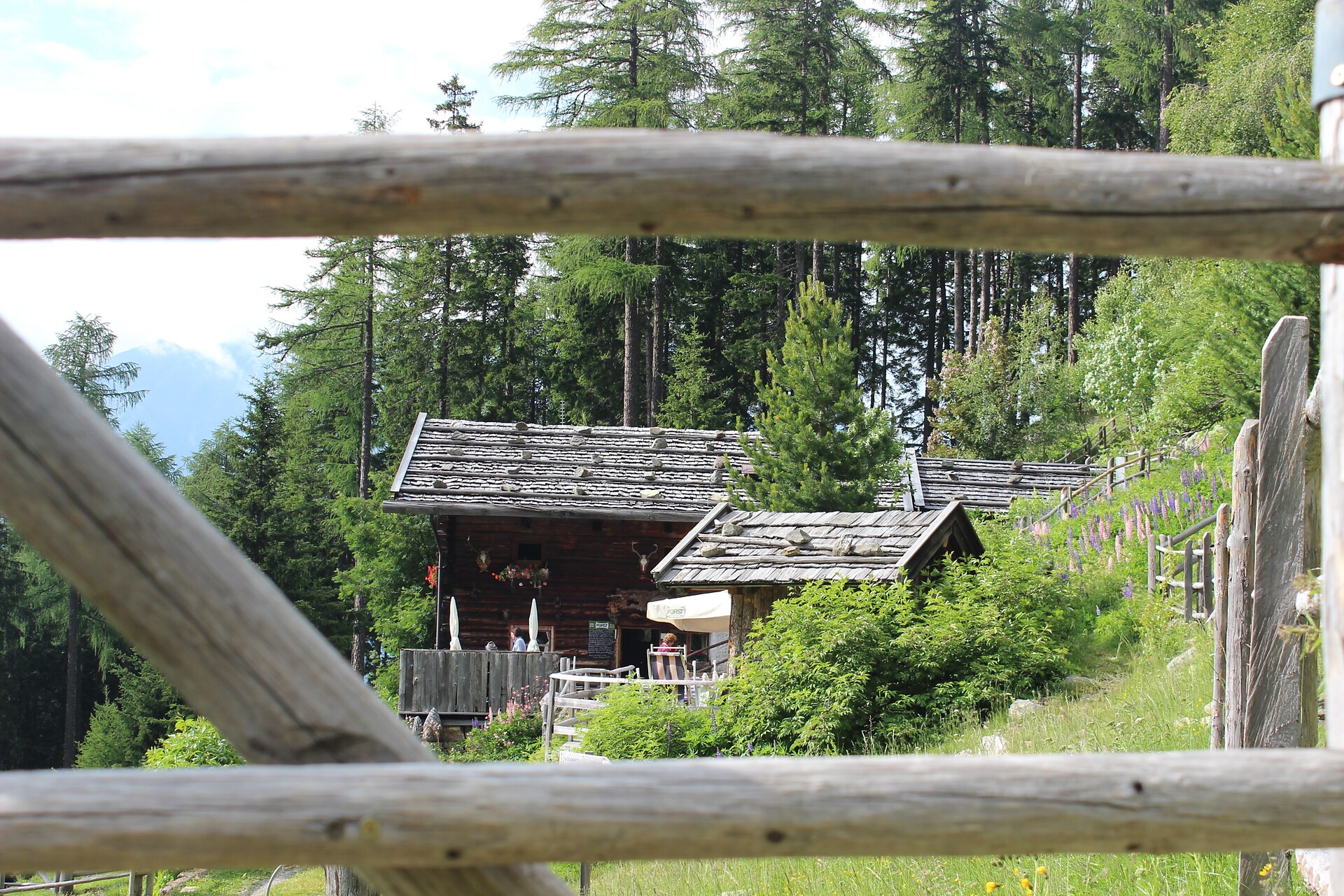 Zetnalm - Meran/Merano and environs - #3 - suedtirol.info