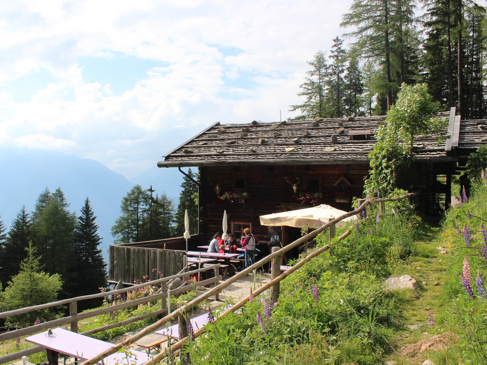 Zetnalm - Meran/Merano and environs - #1 - suedtirol.info