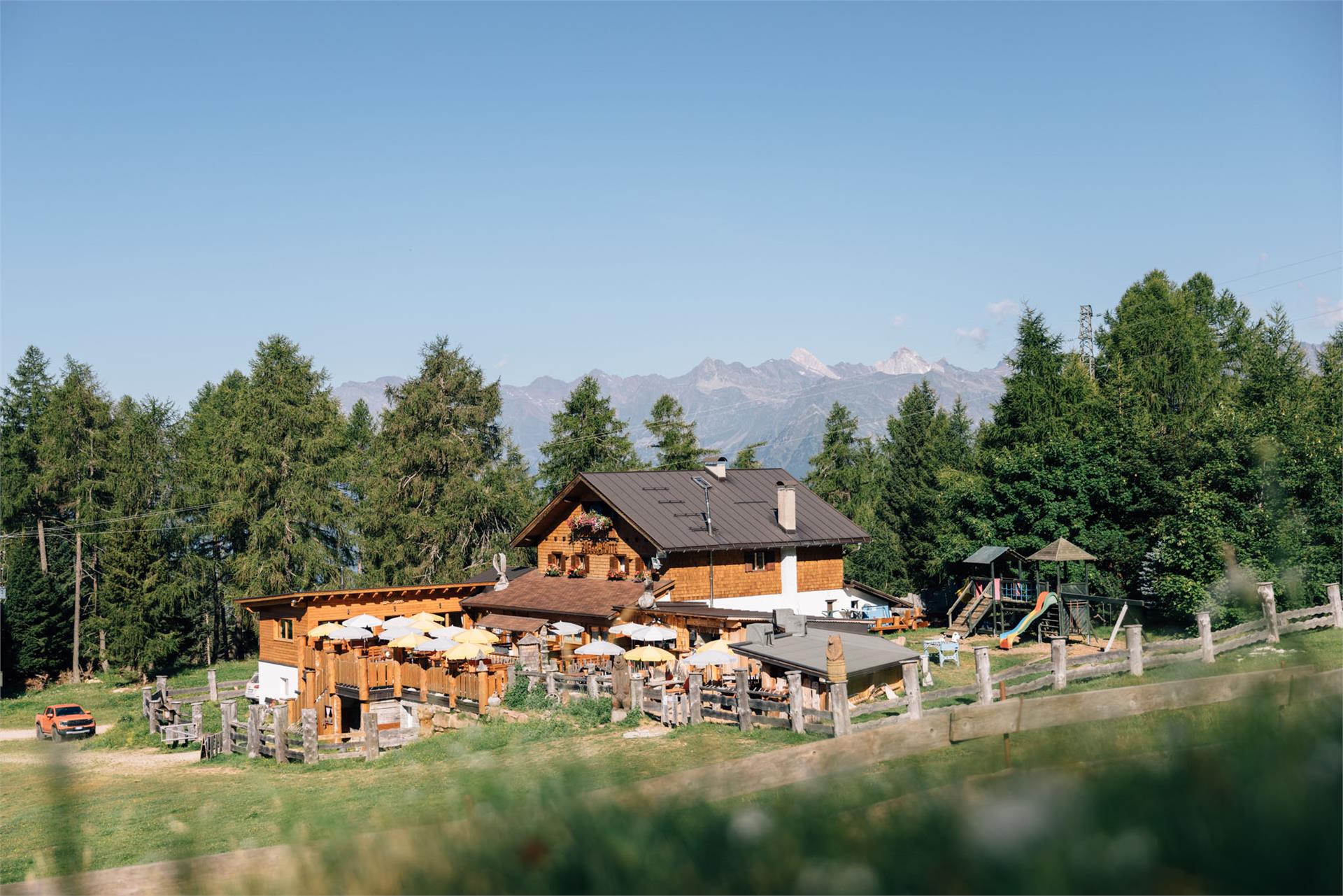 Zuegg Hütte Hafling 1 suedtirol.info