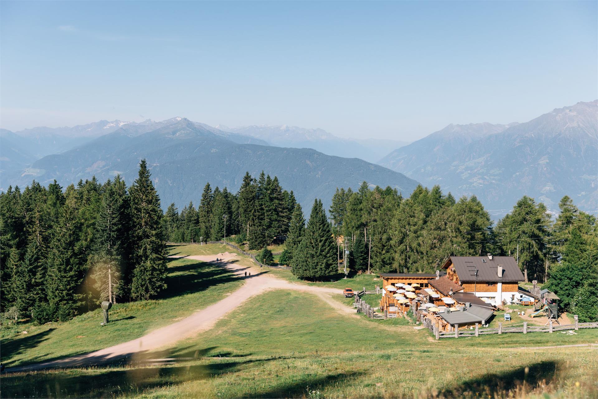 Zuegg Hütte Hafling 3 suedtirol.info