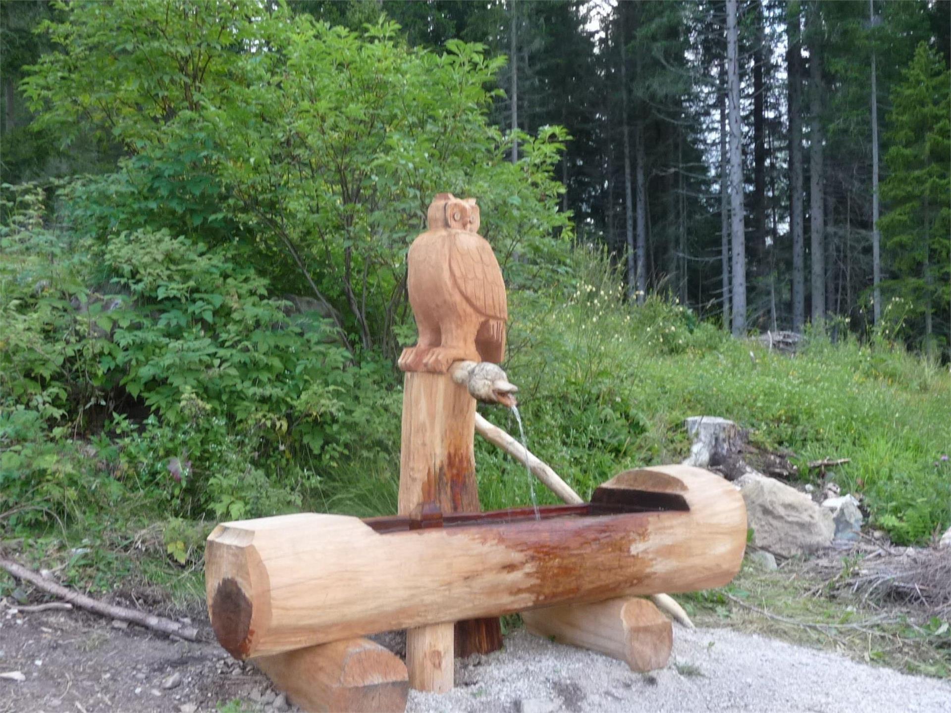 Rispetto in montagna - fontana Val Fiscalina, Sesto Sexten/Sesto 1 suedtirol.info