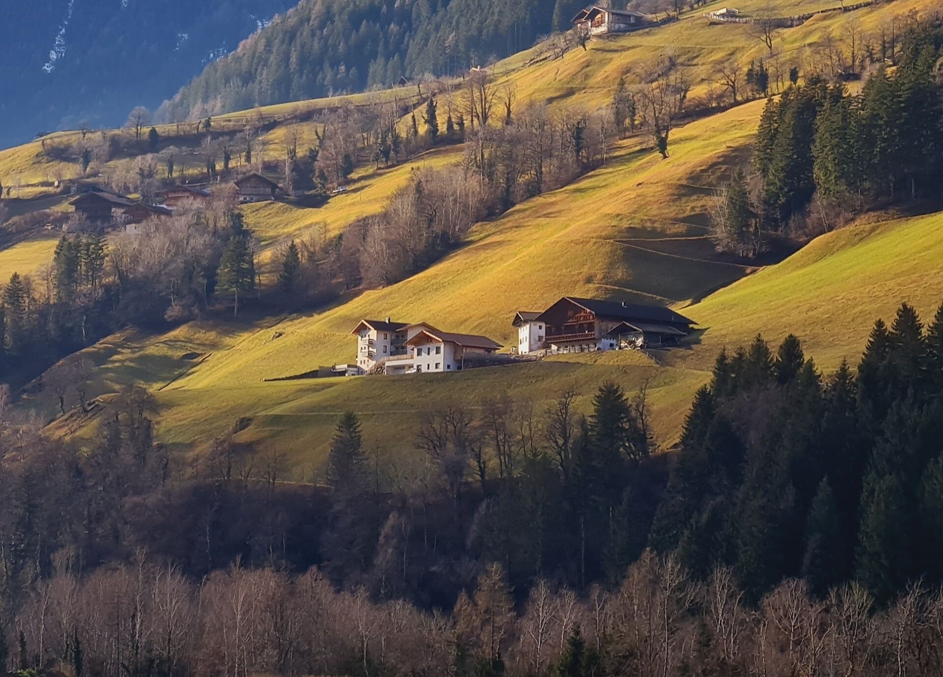 Aignerhof Farm - Meran/Merano and environs - #1 - suedtirol.info