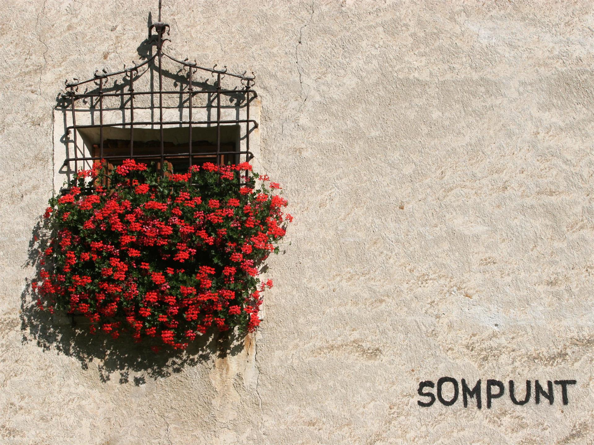 Ansitz Sompunt Badia 2 suedtirol.info