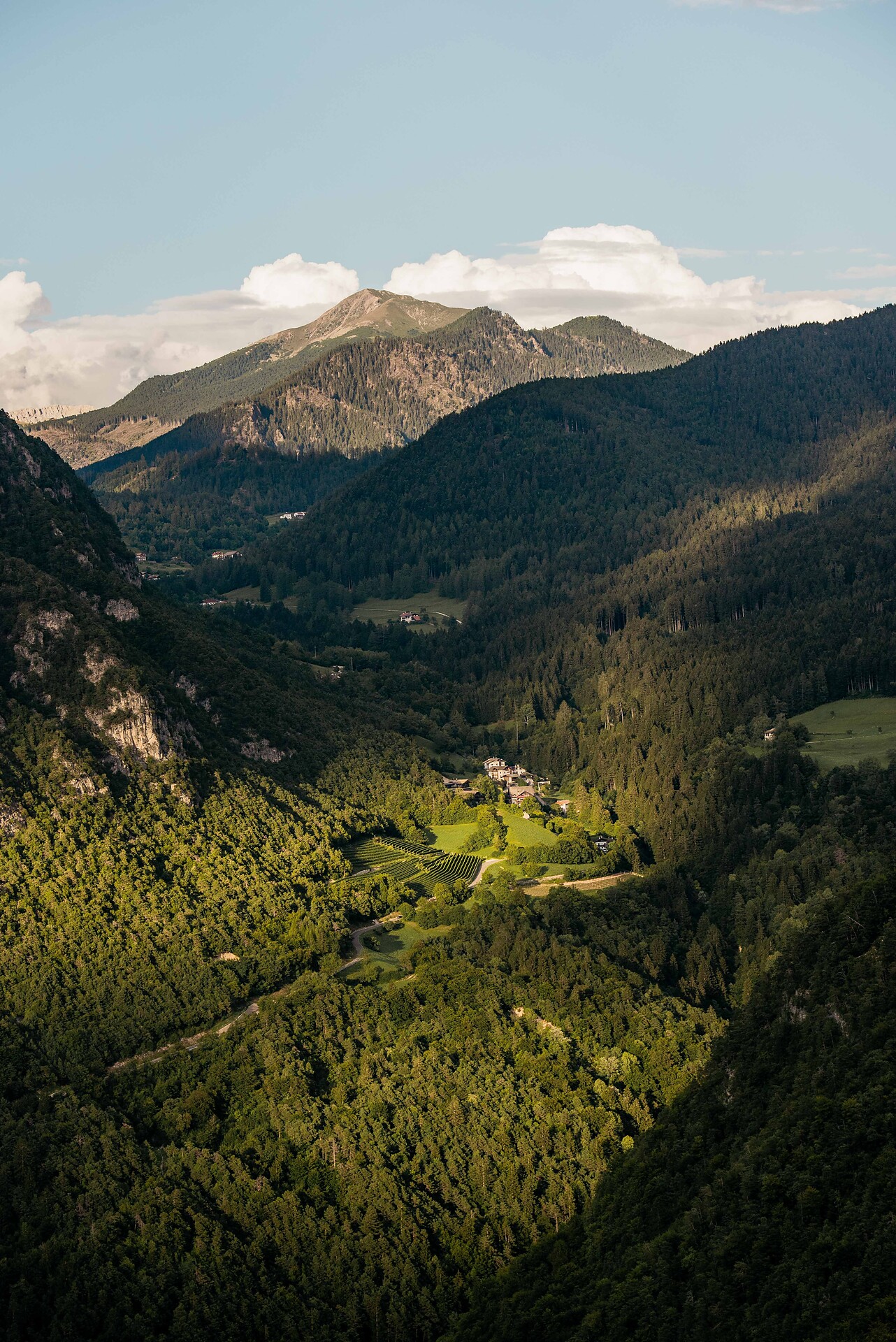 Kanzel