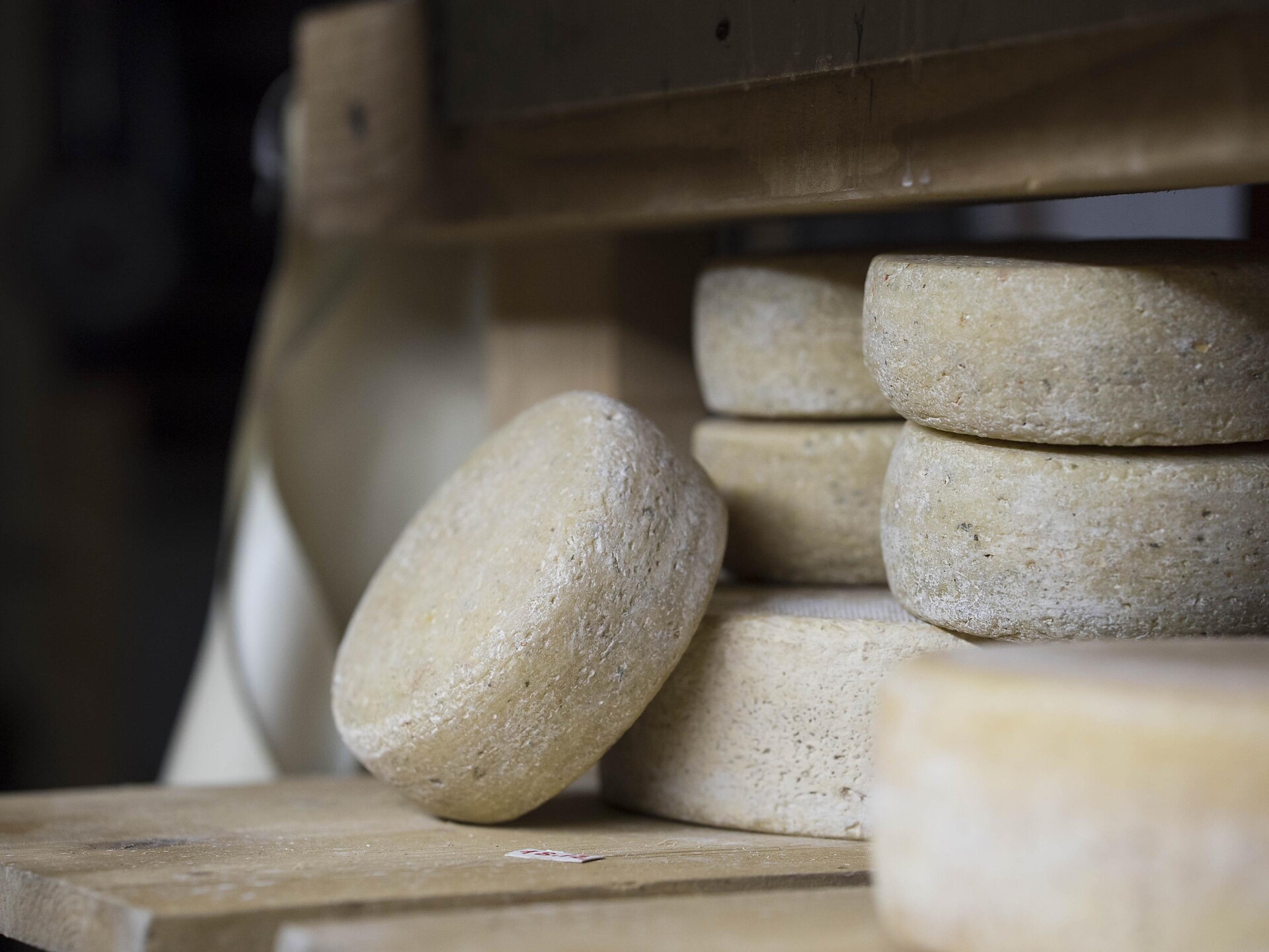 Käse