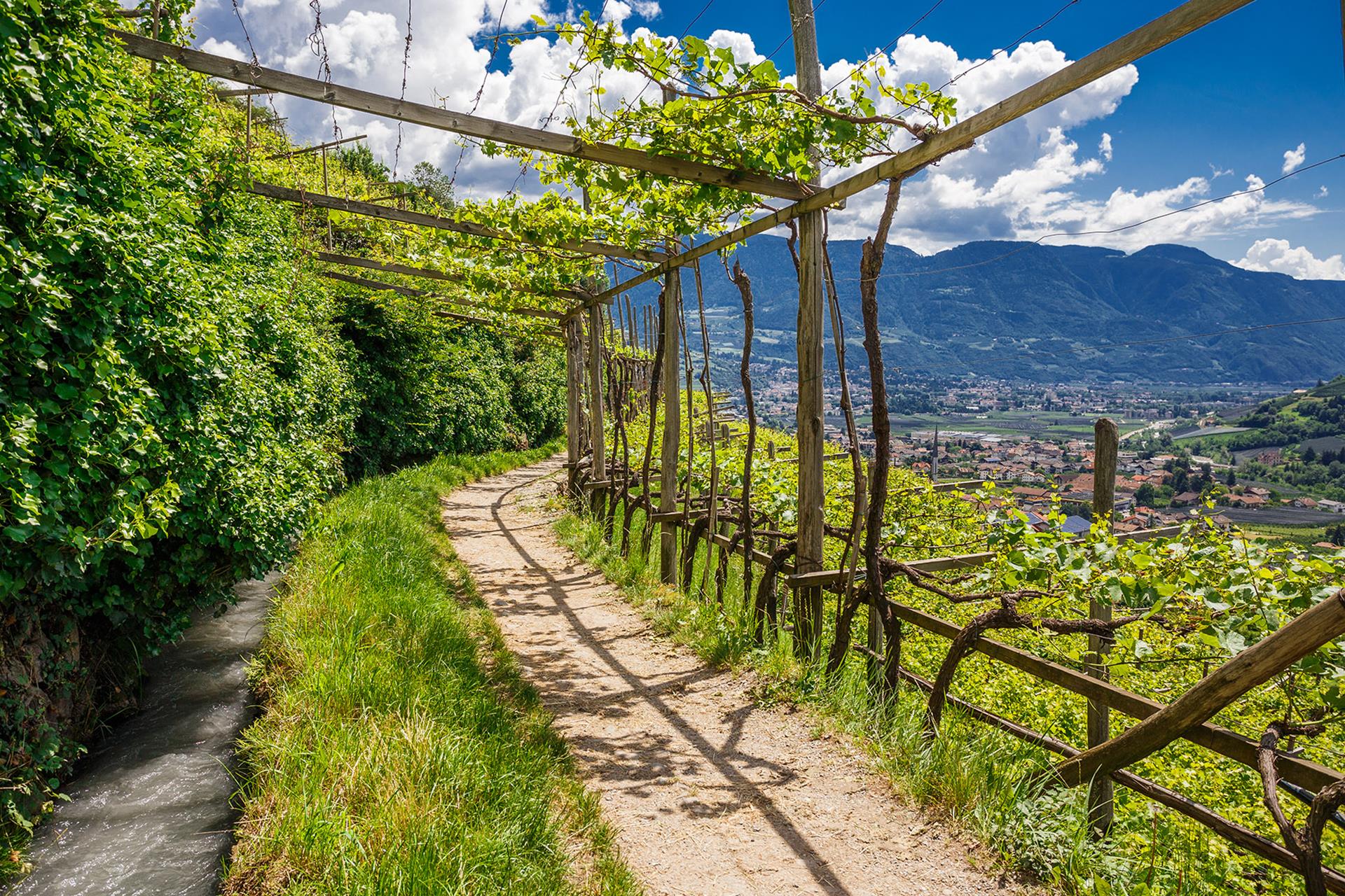 Algunder Waalweg Partschins 1 suedtirol.info