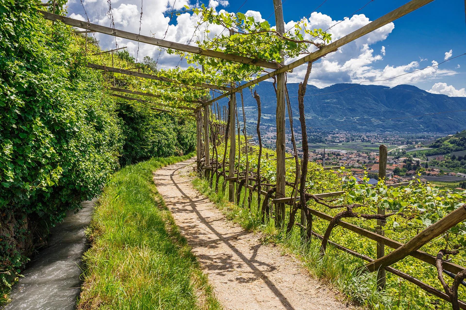Irrigation channel pathway Algund Algund/Lagundo 1 suedtirol.info