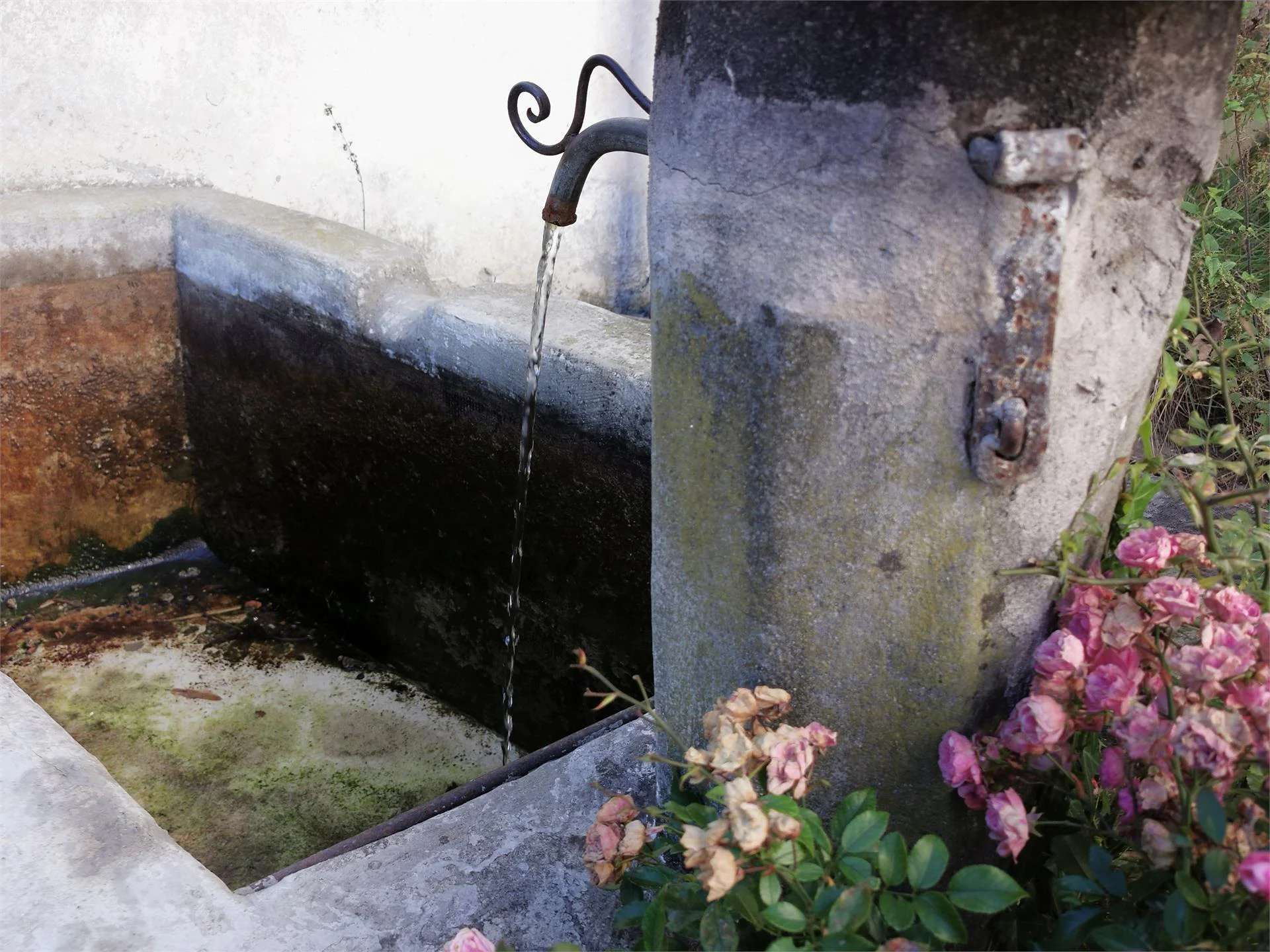 Rispetta la montagna - Fontana "Lassnig" - punto di erogazione dell'acqua potabile  1 suedtirol.info