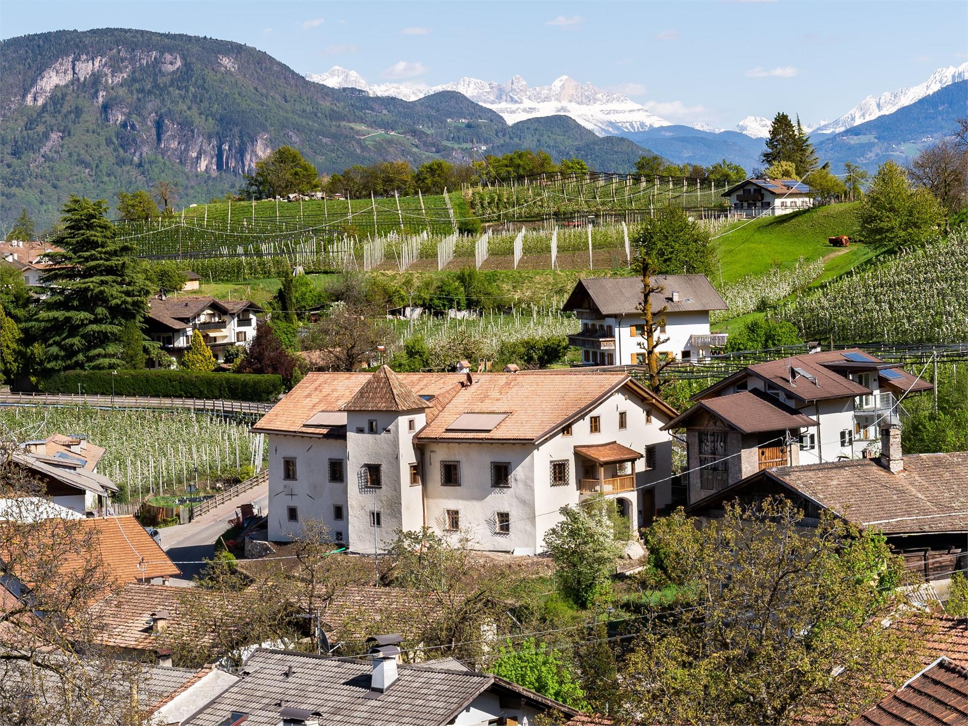 Ansitz Lidl Tesimo 1 suedtirol.info
