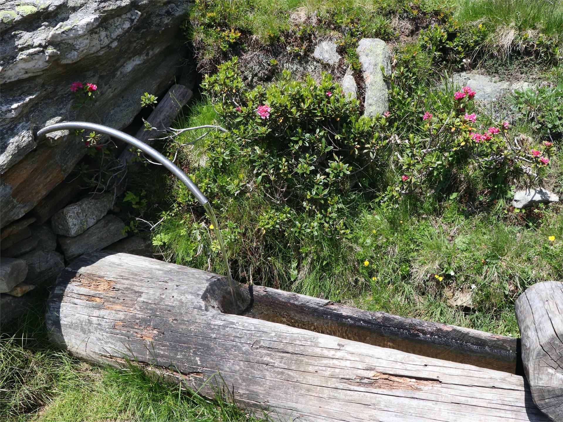 Respect the mountains - Fountain "Ginggltroug"- drinking water refill point Partschins/Parcines 1 suedtirol.info